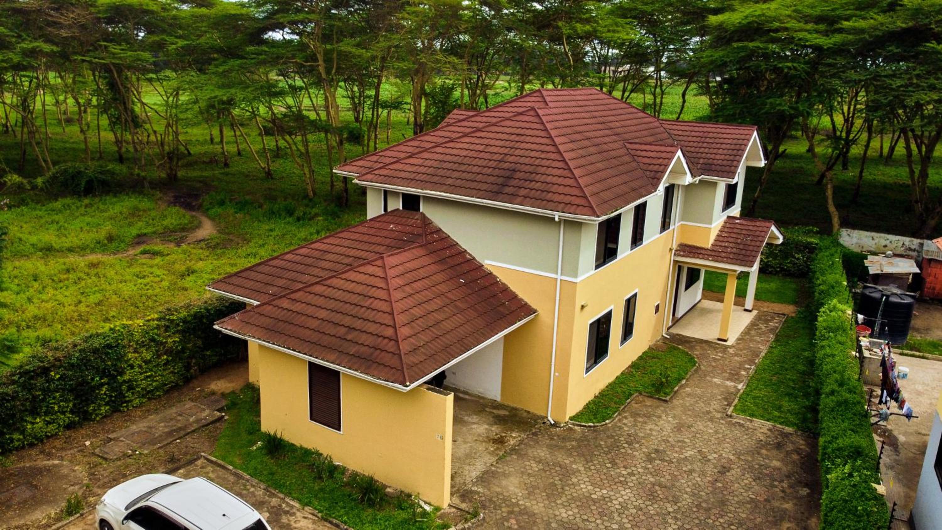 Mount Meru View Homestay view 3