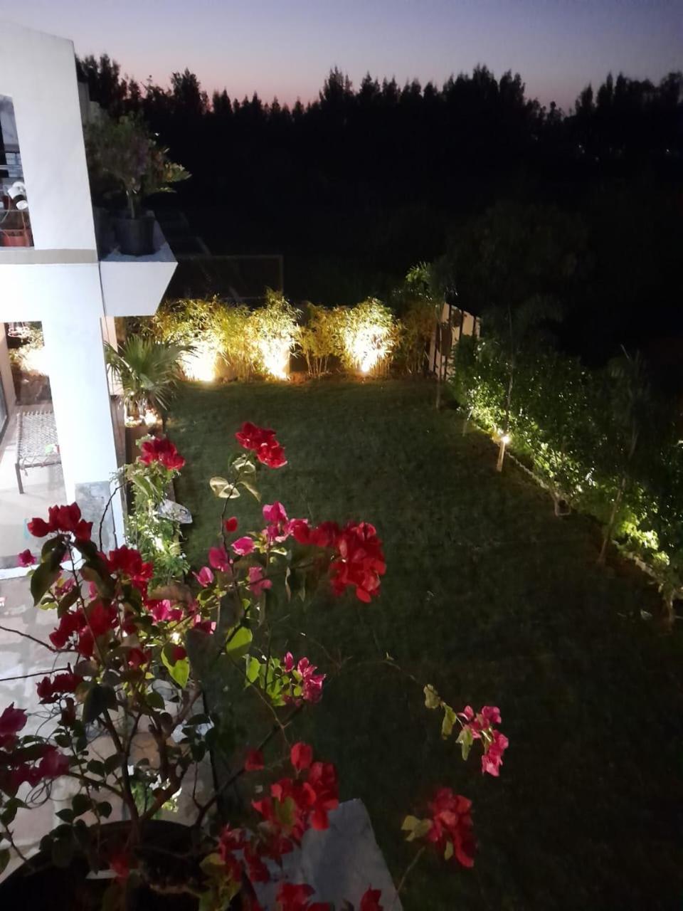 The Sloppy House view 2