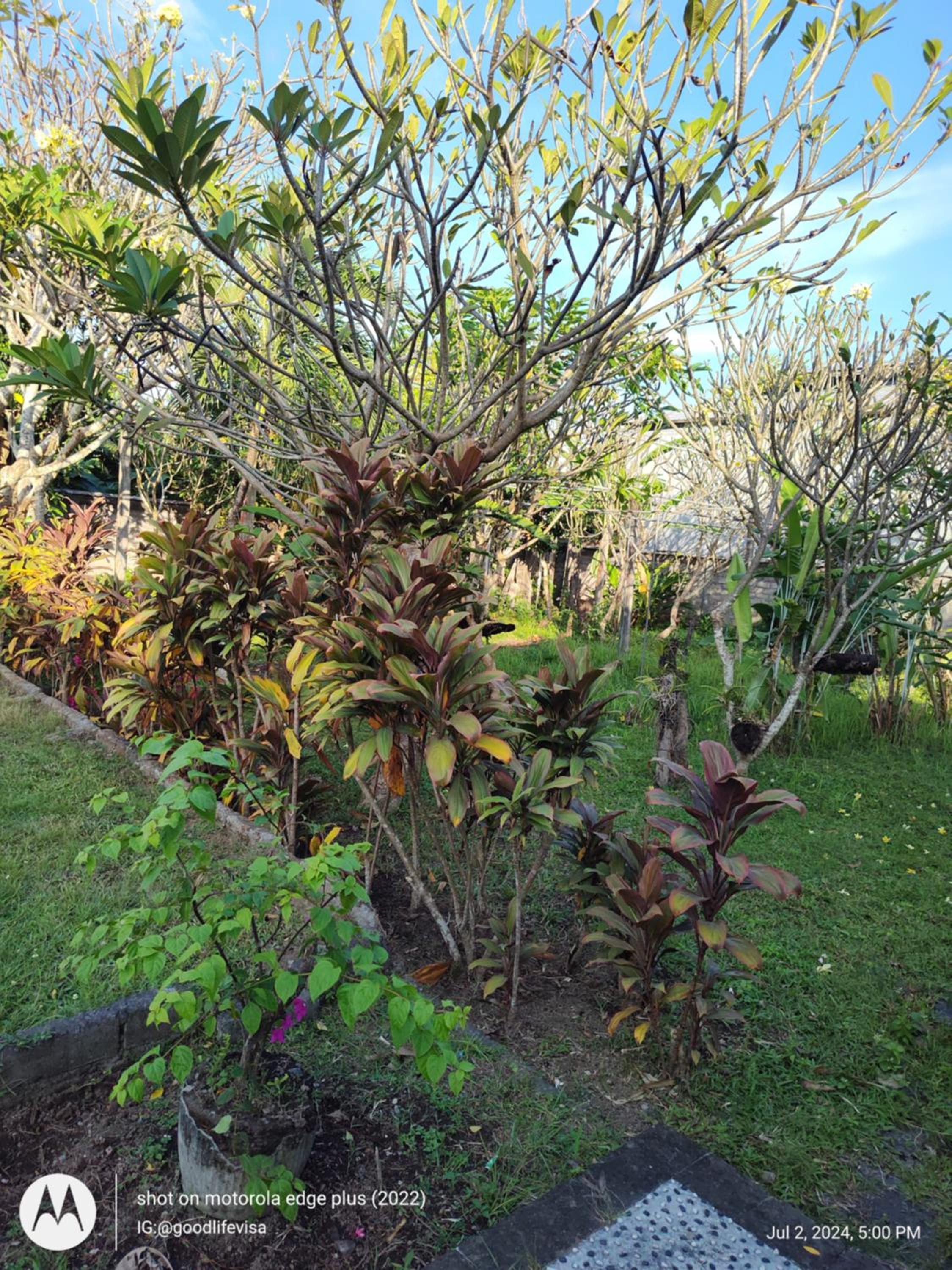 Bungalow Soka