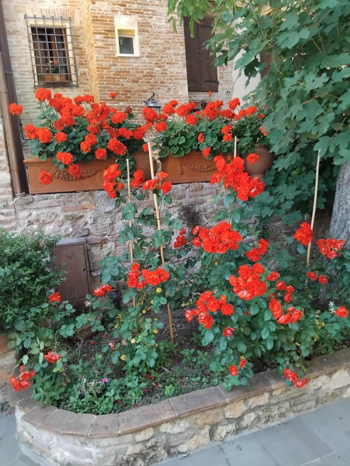 Torre alle Antiche Mura photo 5