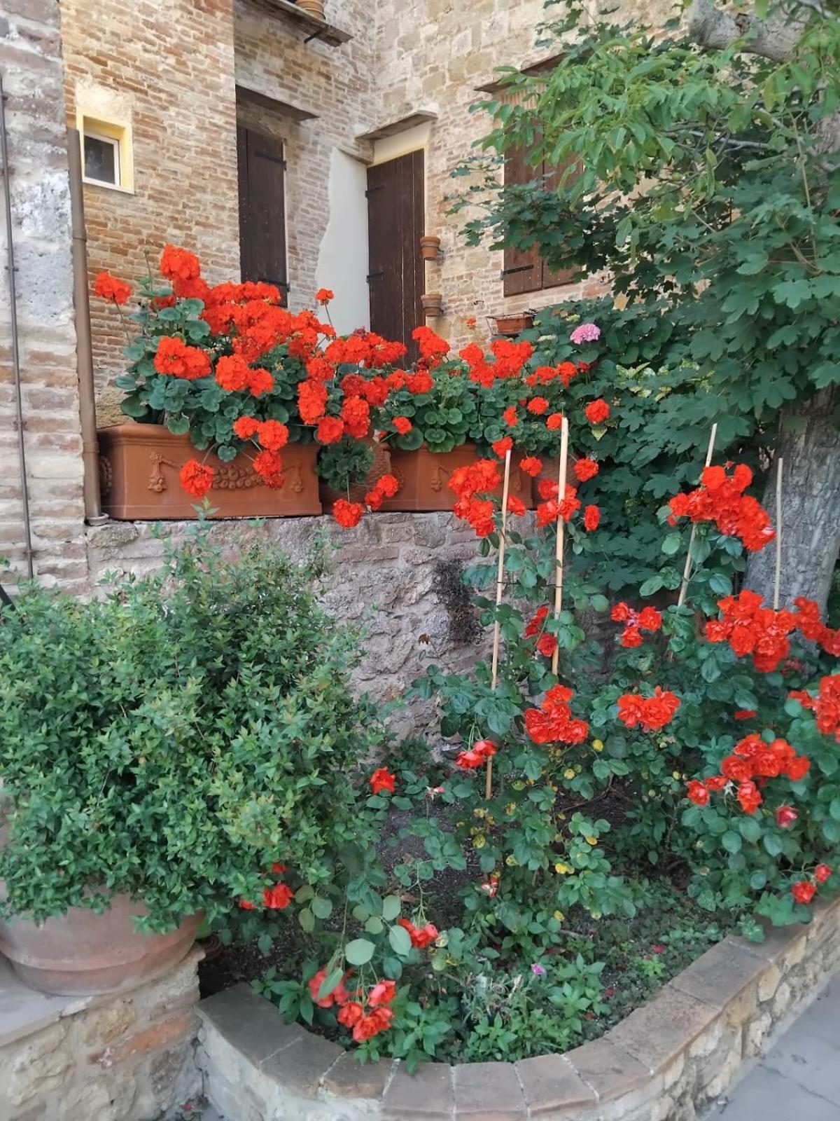 Torre alle Antiche Mura photo 3