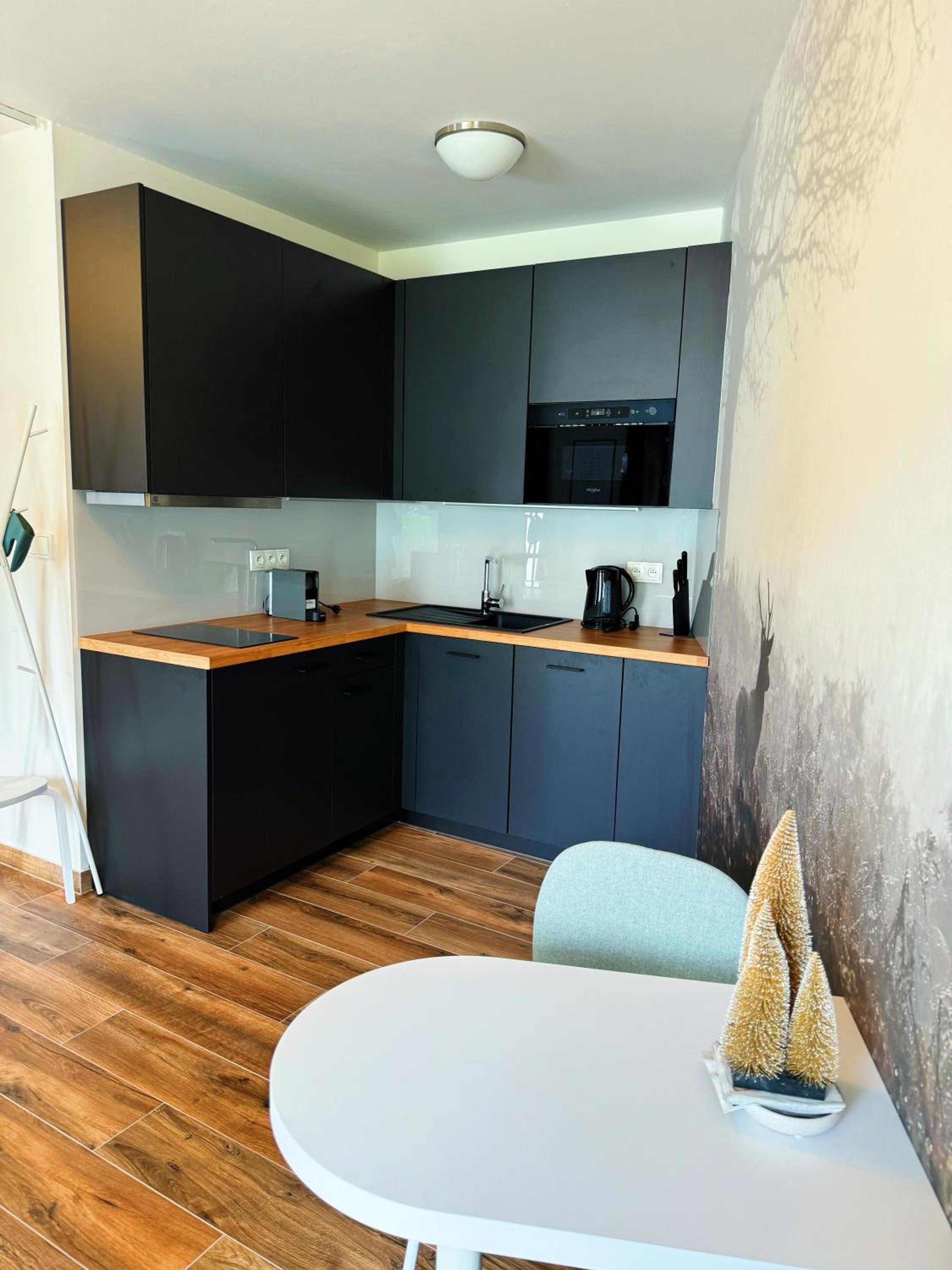 Horský apartmán Klínovecké louky 120-4