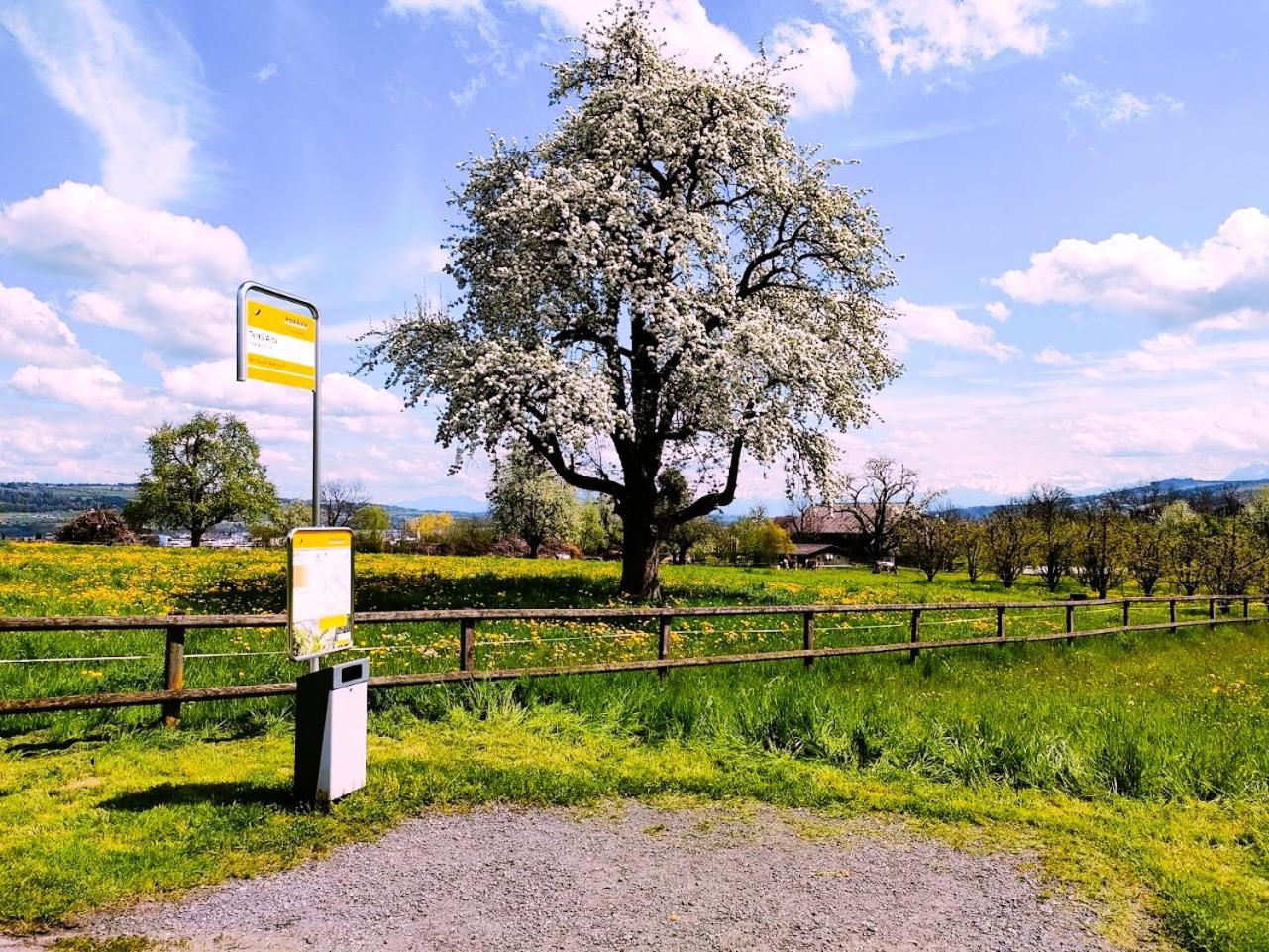 Nisihof, Abendblick