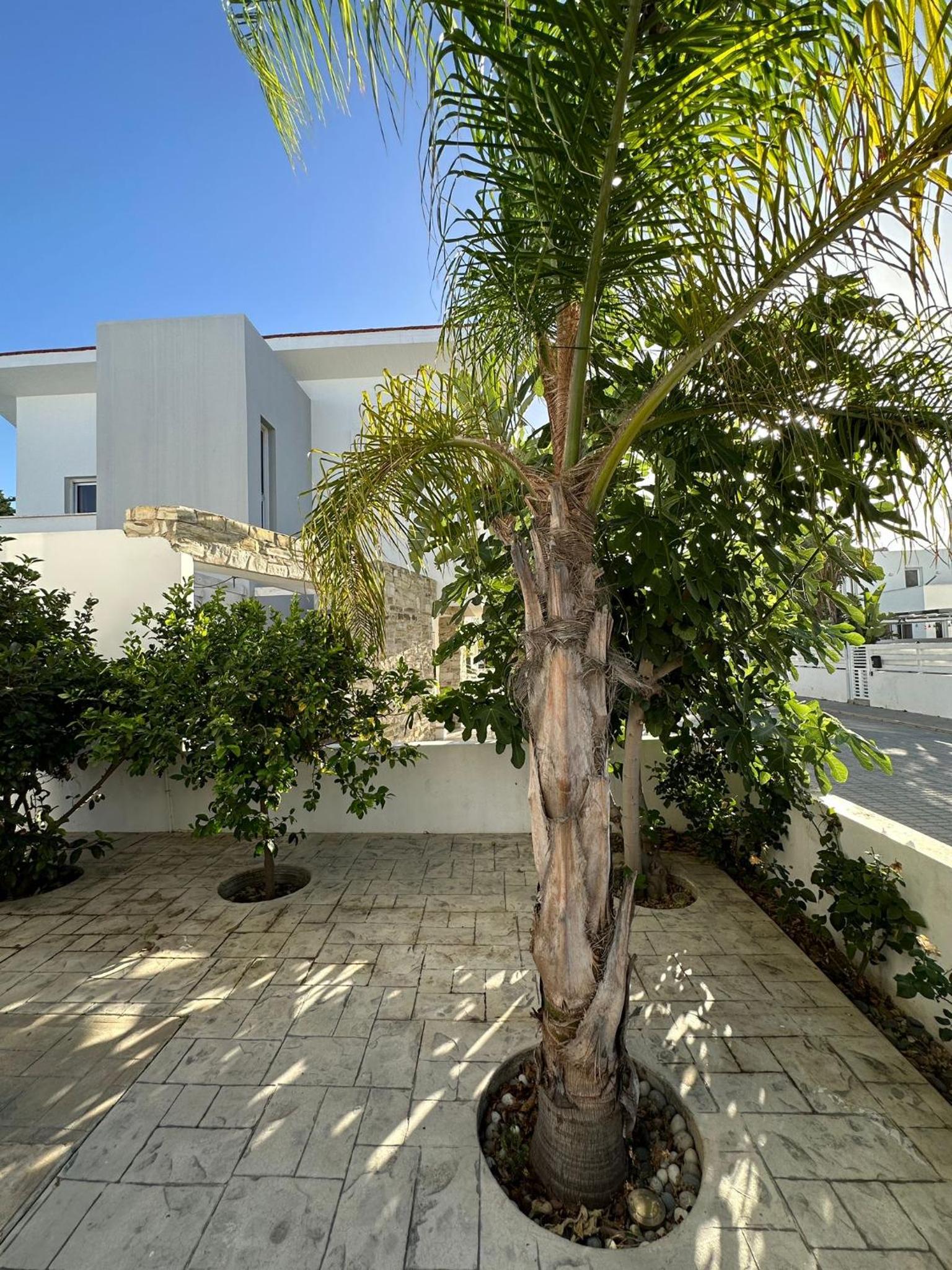 House with 2 bedrooms and Pool