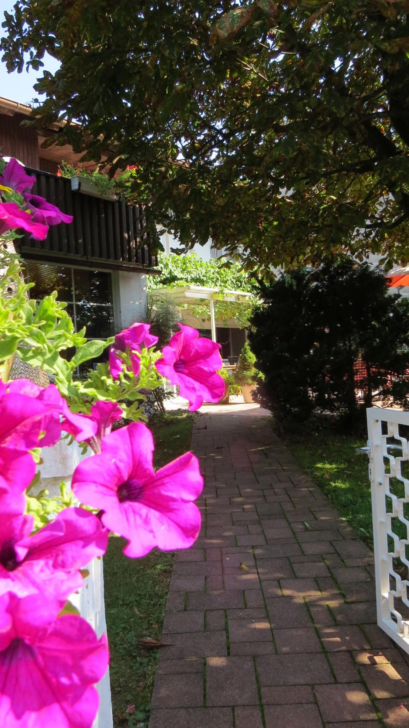 Gastehaus Huber - traditional Sixties Hostel - Property Image 21