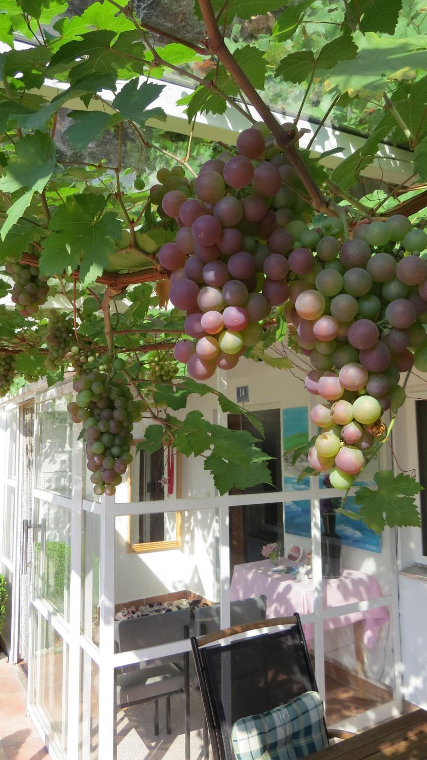 Gastehaus Huber - traditional Sixties Hostel - Property Image 26