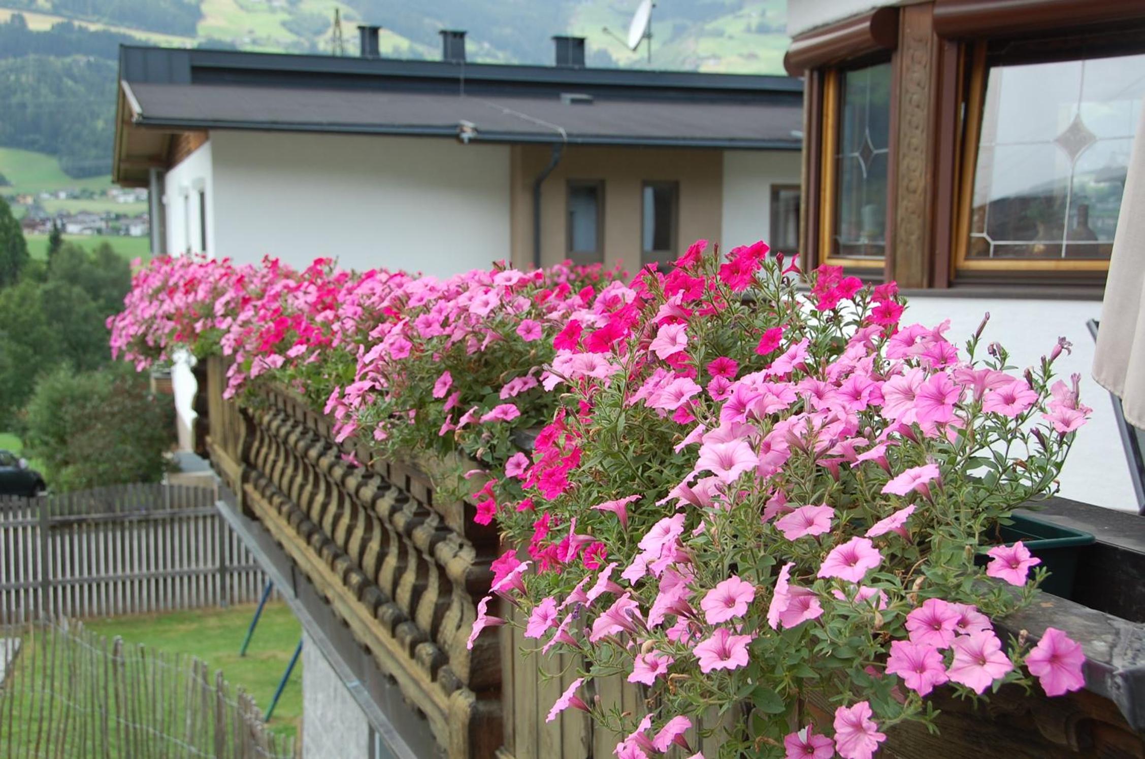 Haus hart im Zillertal 6 personen