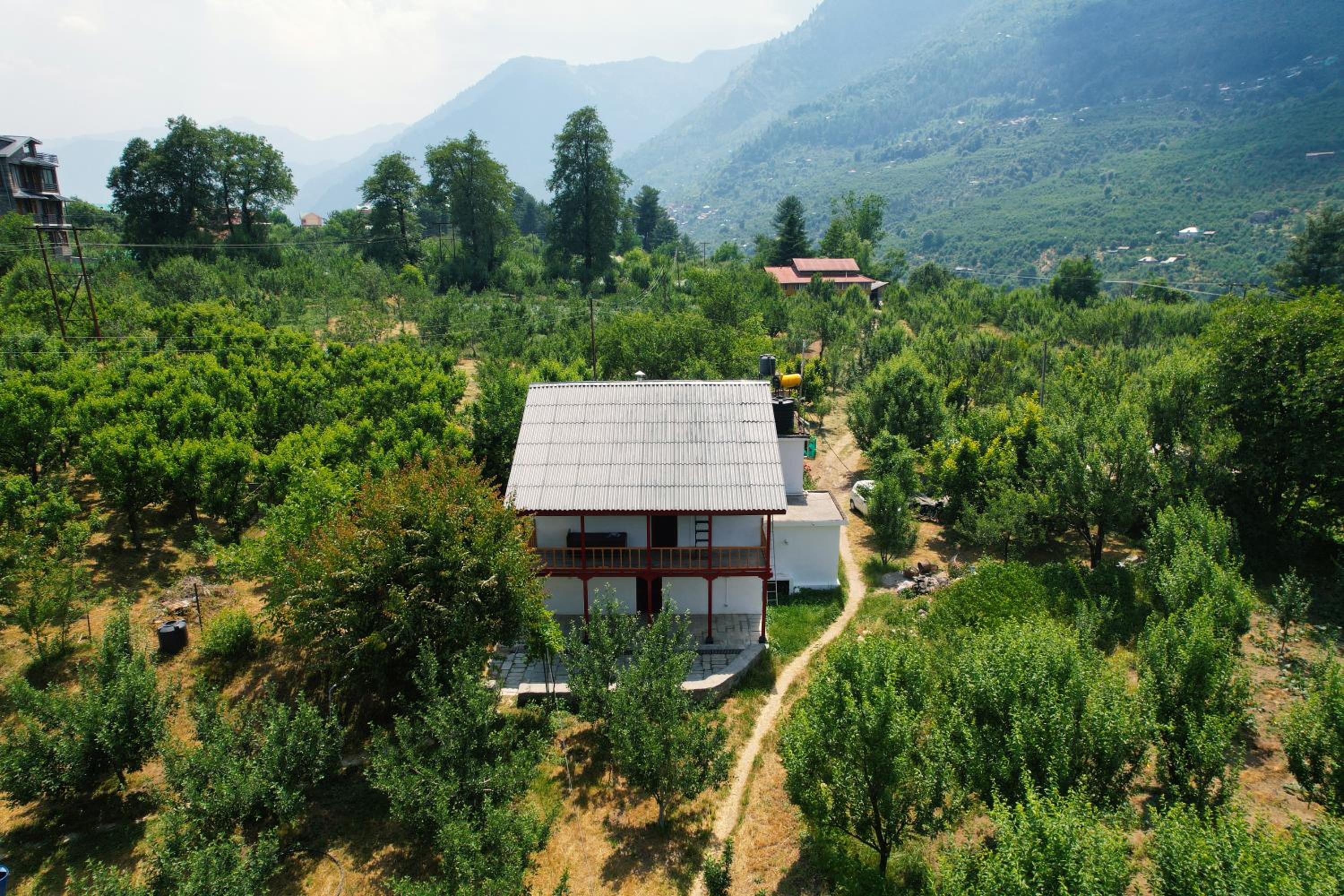 Jungle Brooks Home view 2