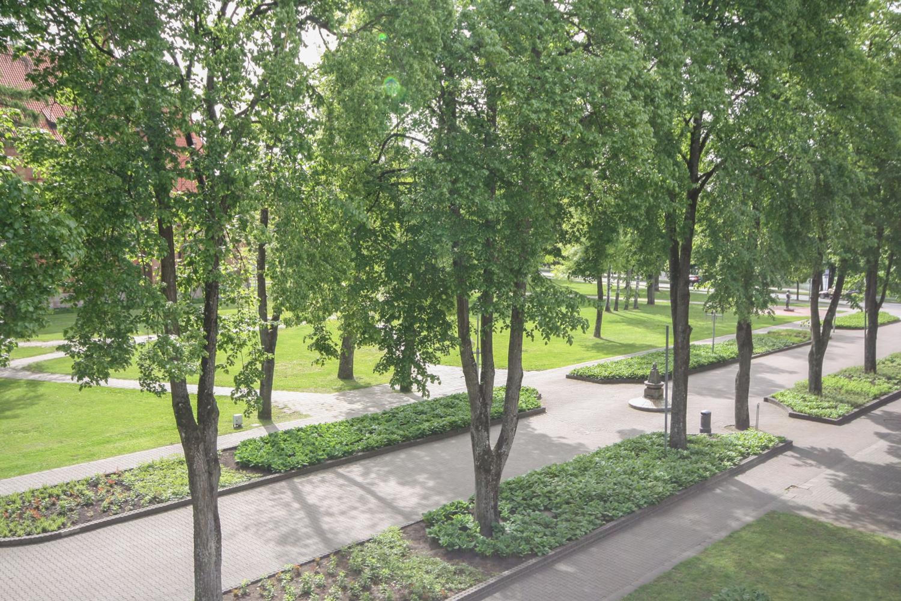 Apartamentai Vilniaus alėjoje