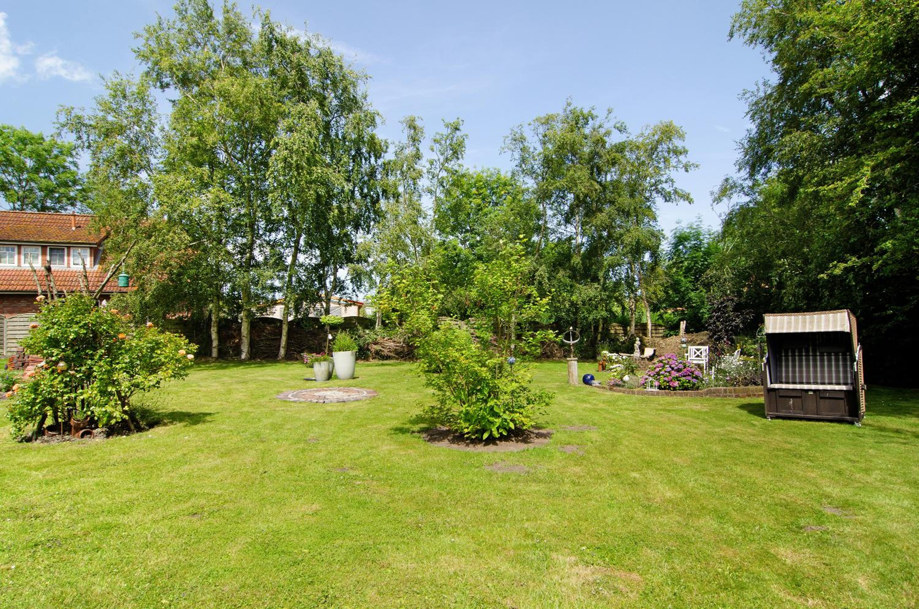 Seeschwalbe Hilgenriedersiel