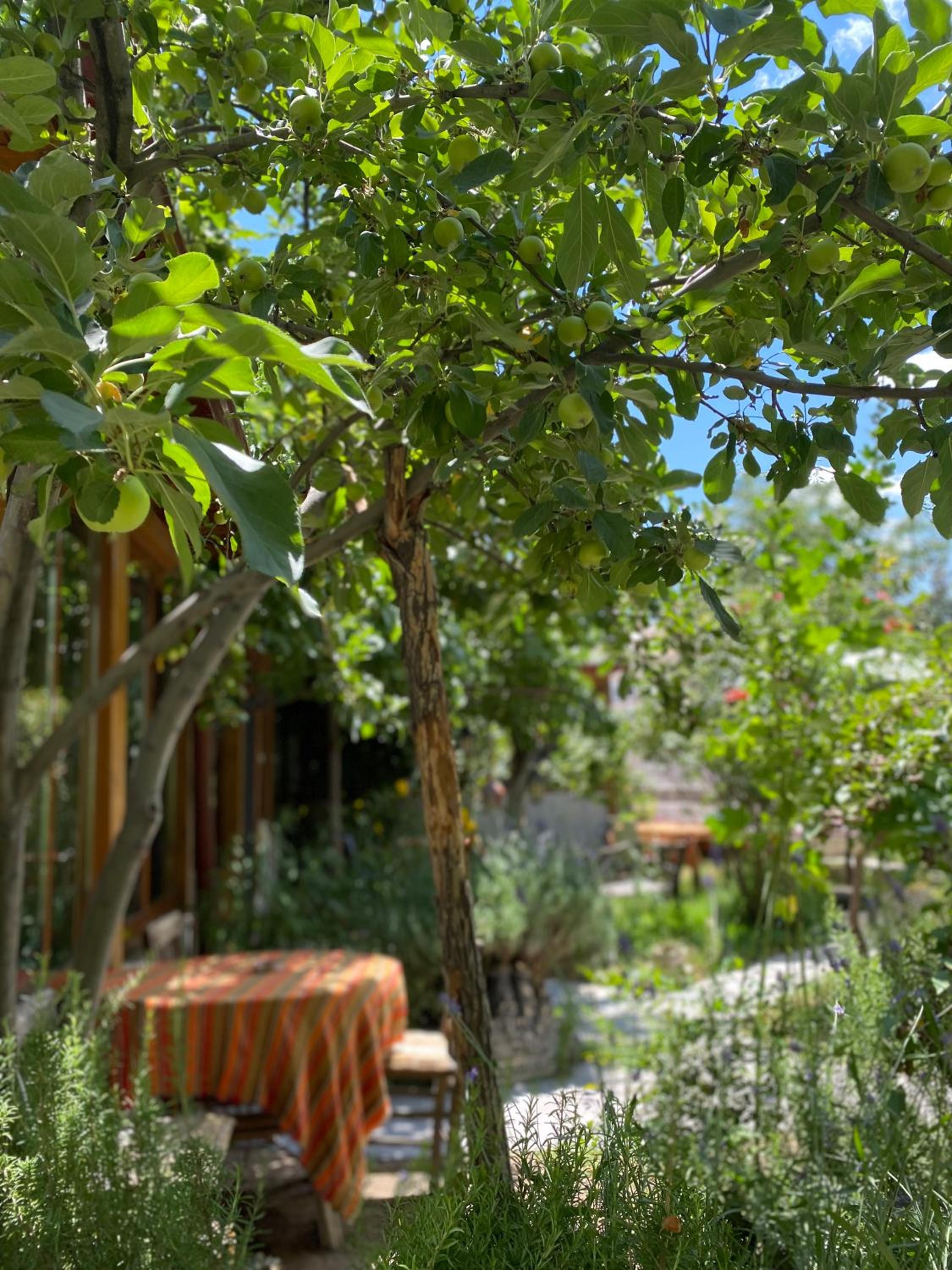 Kemal's Guest House - Image 73