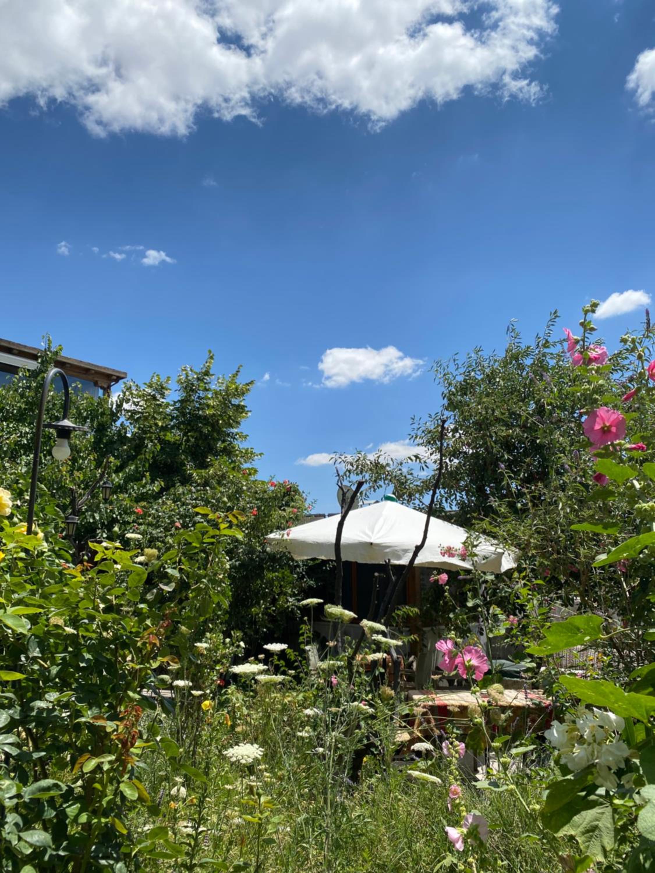 Kemal's Guest House - Image 80