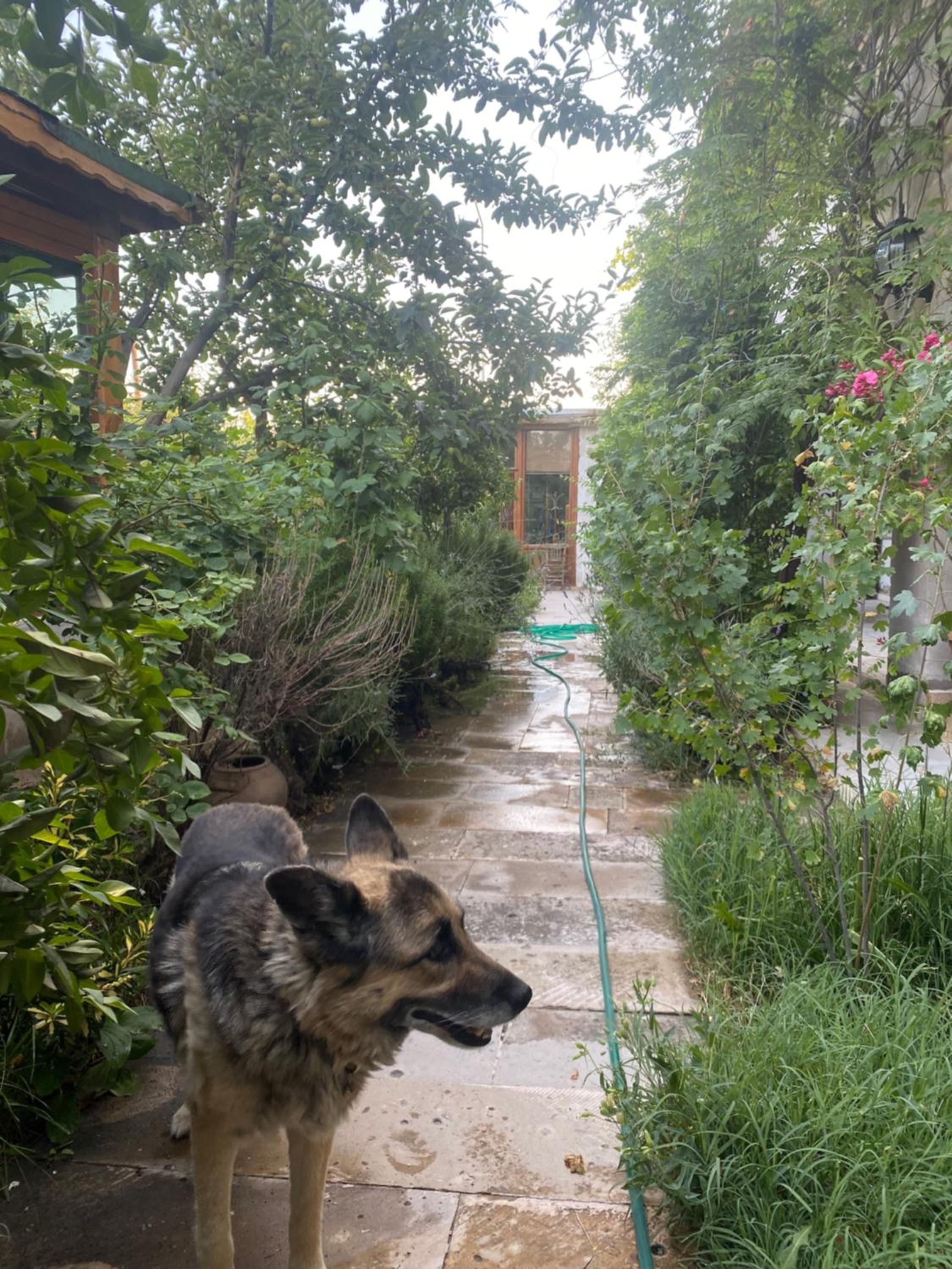 Kemal's Guest House - Image 81