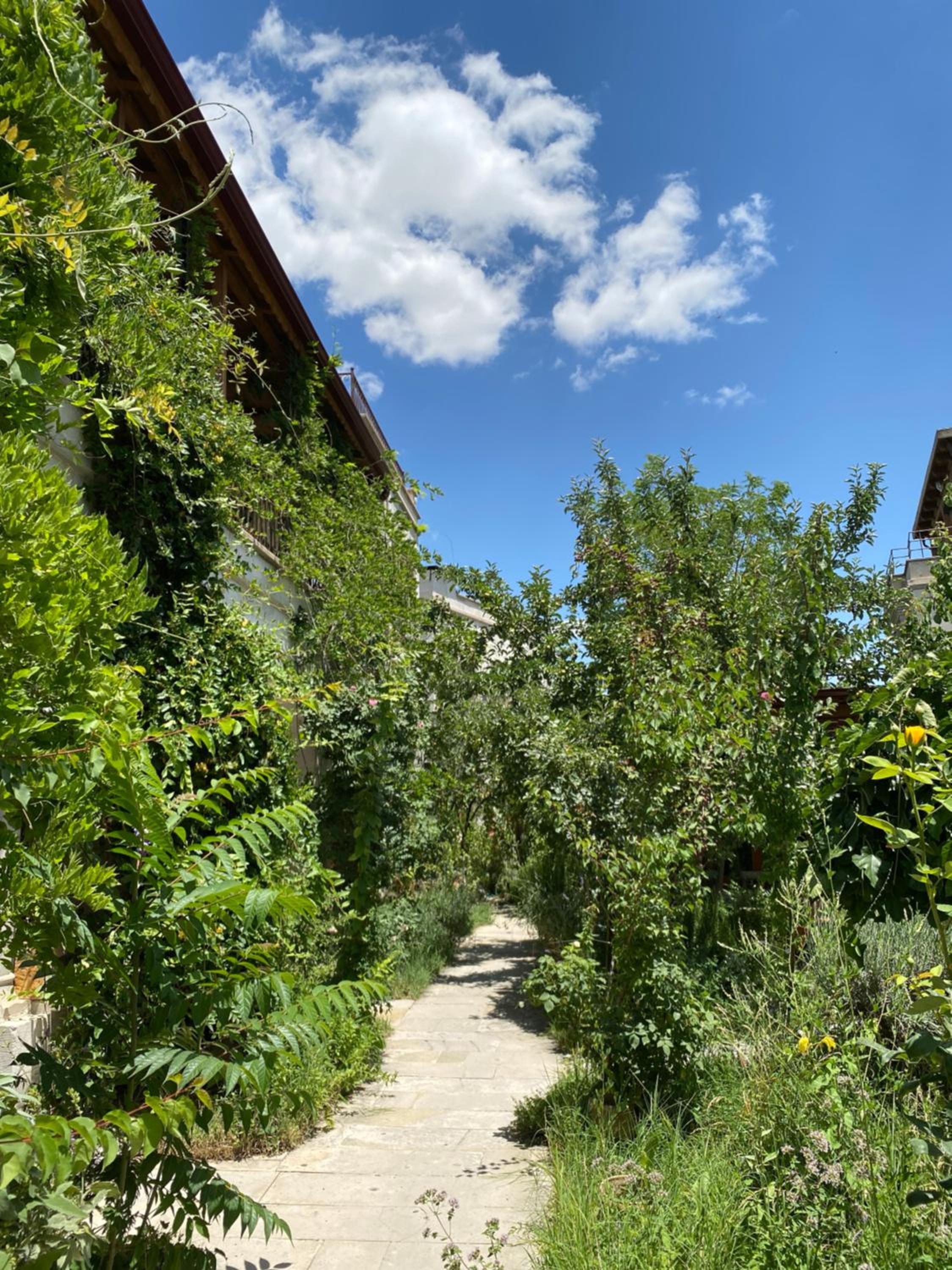 Kemal's Guest House - Image 37