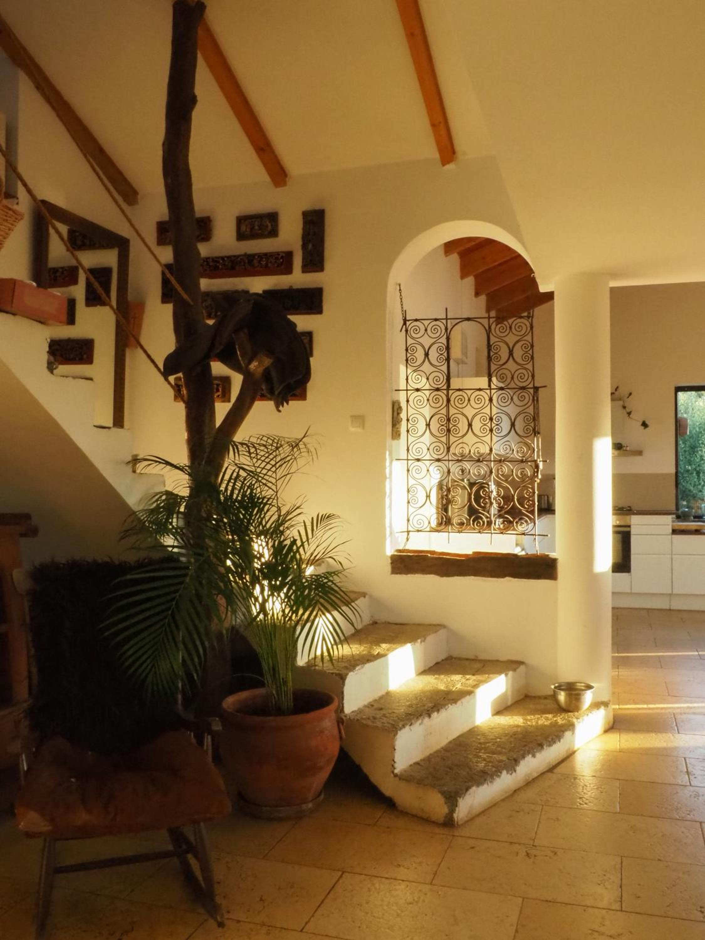 Villa Horses and Nature