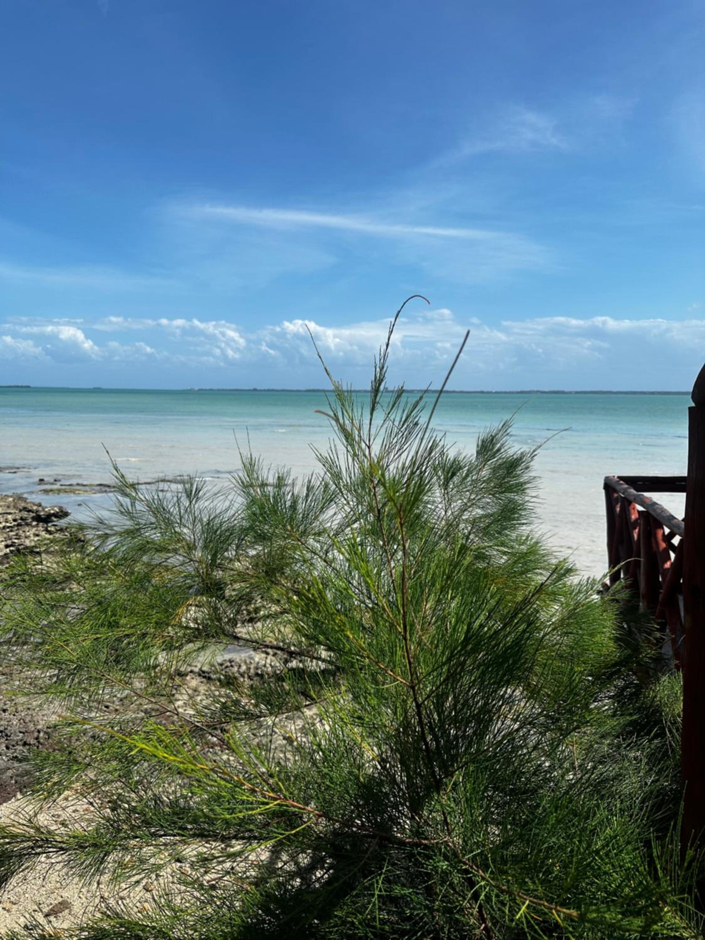 Oceanfront Escape in Zanzibar