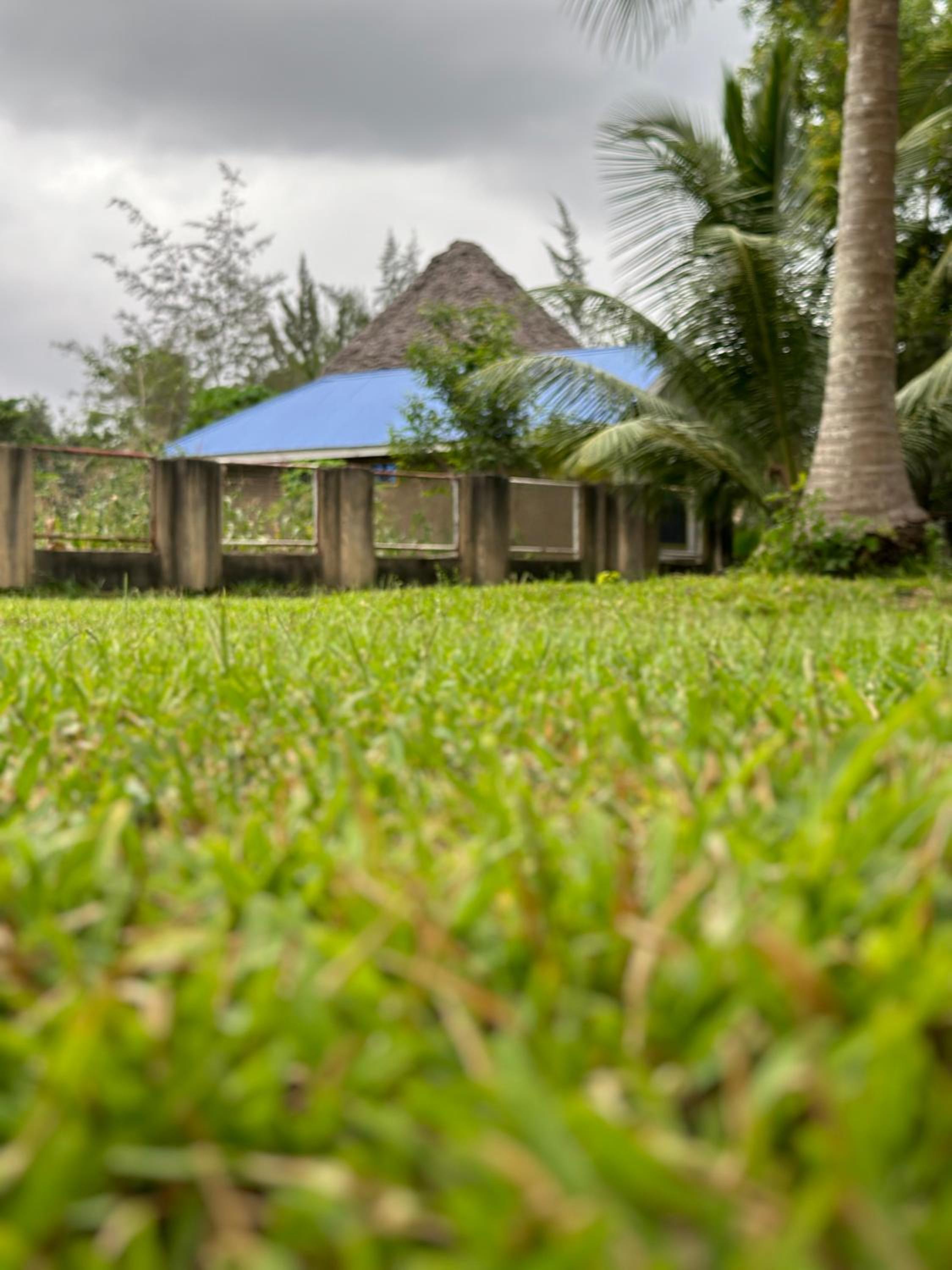 Oceanfront Escape in Zanzibar