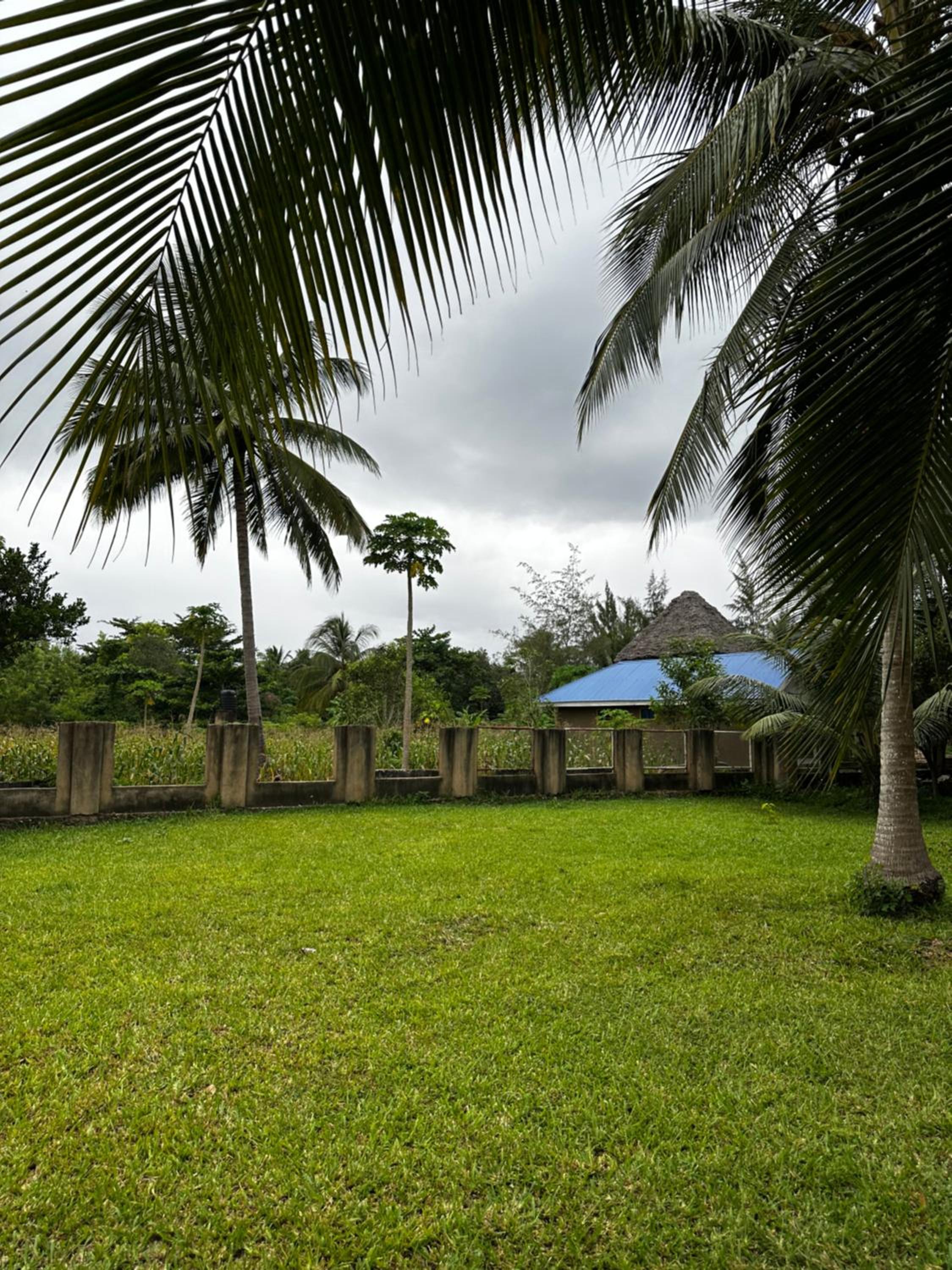 Oceanfront Escape in Zanzibar