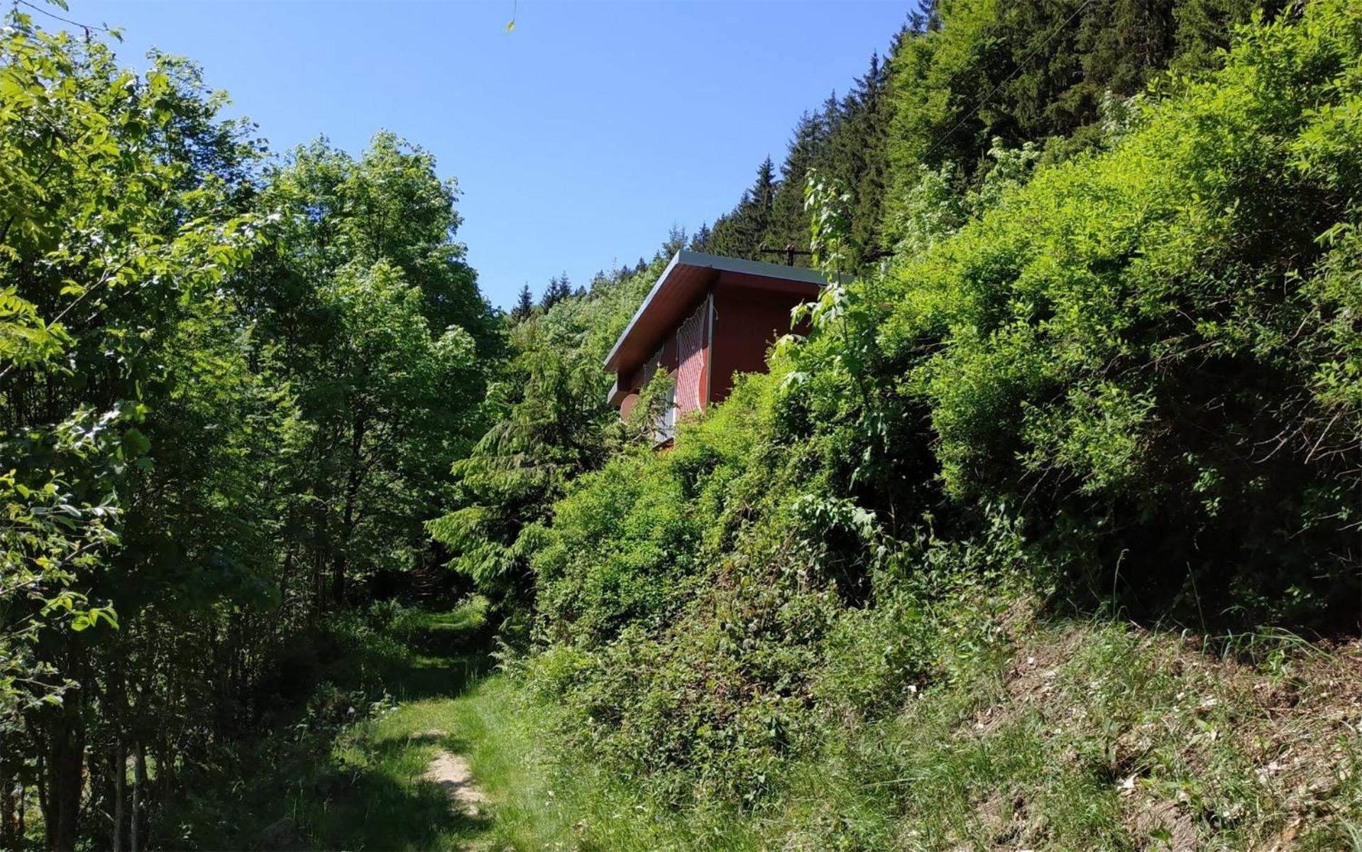 Ferienhaus WaldLuftin