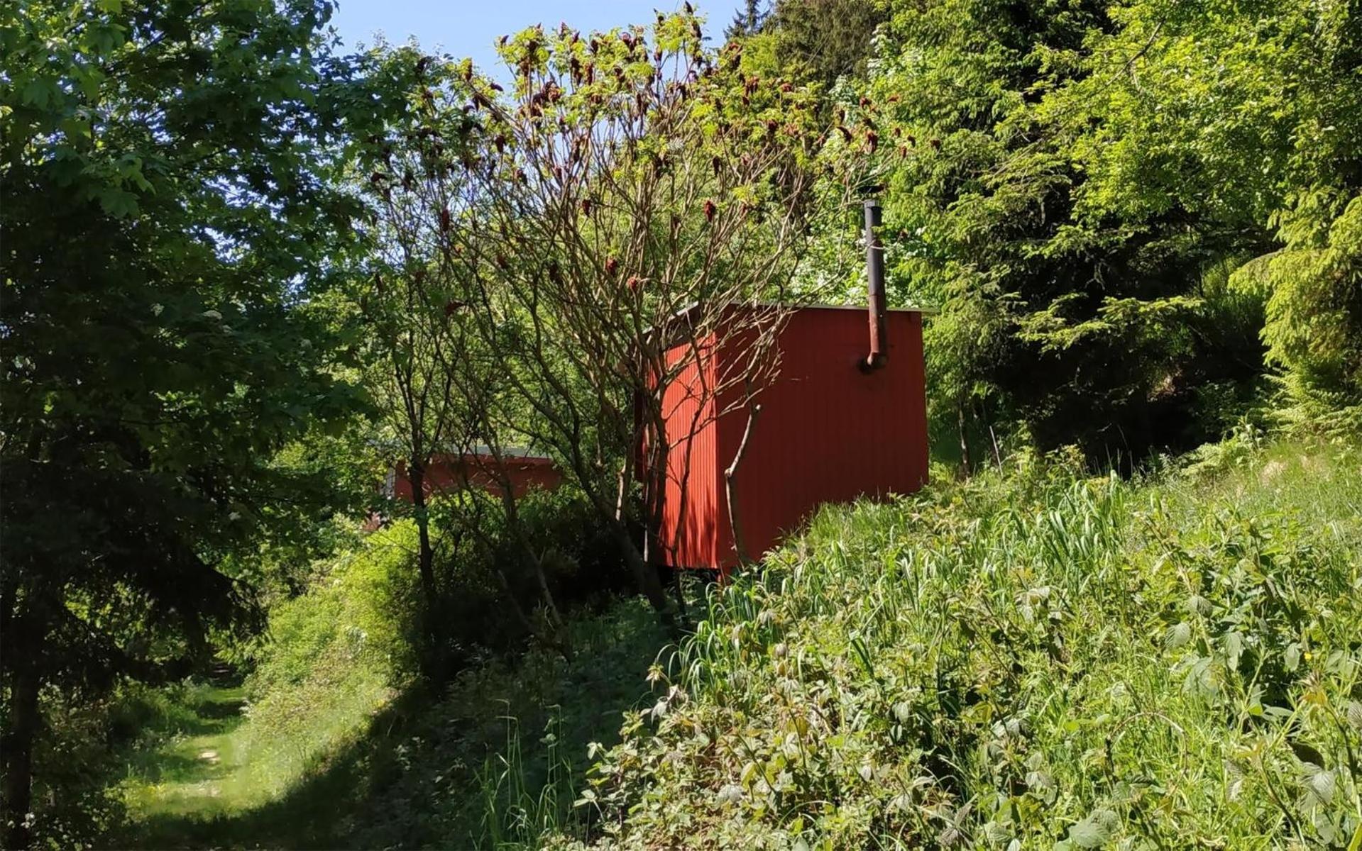 Ferienhaus WaldLuftin