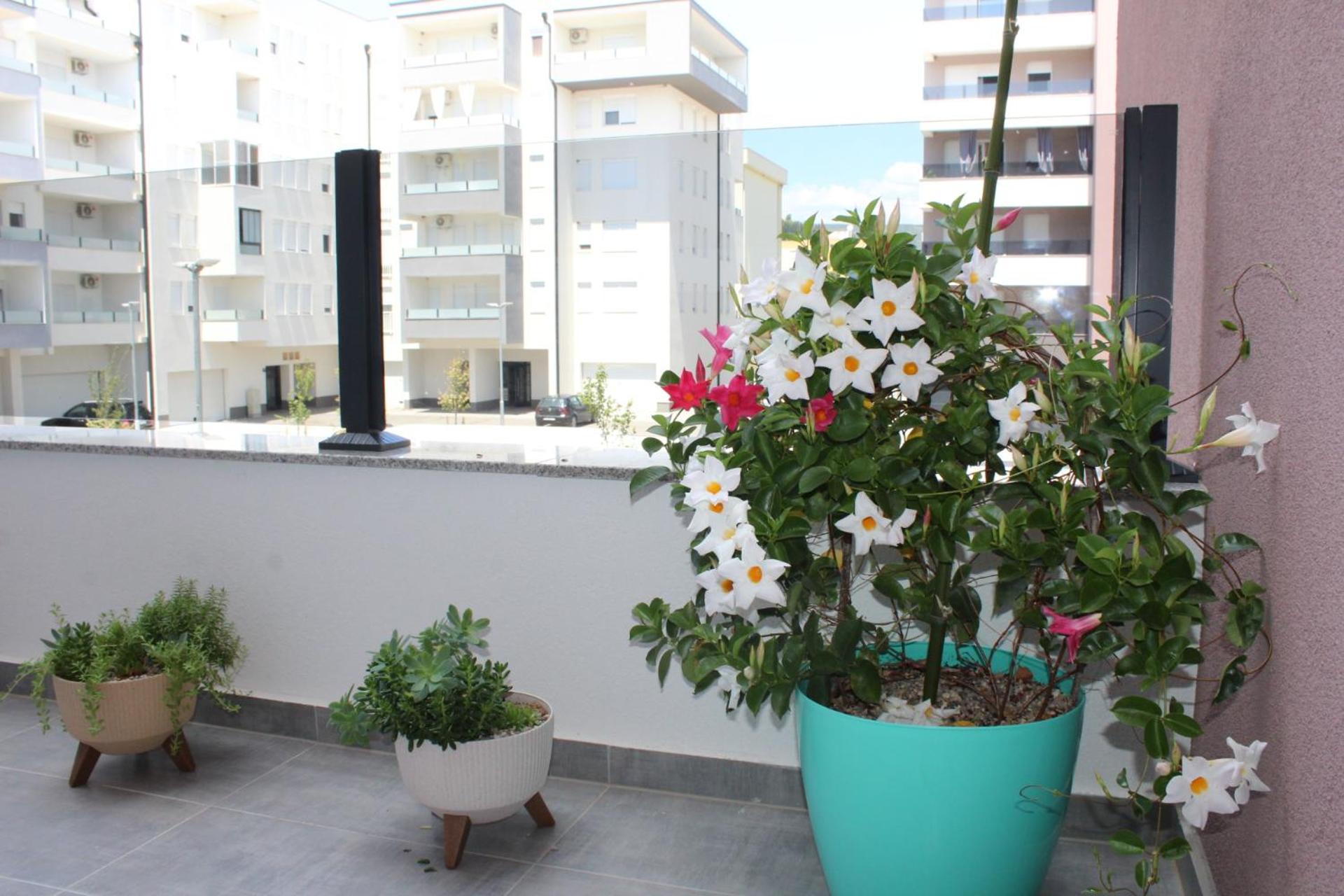 Apartman Nivalis