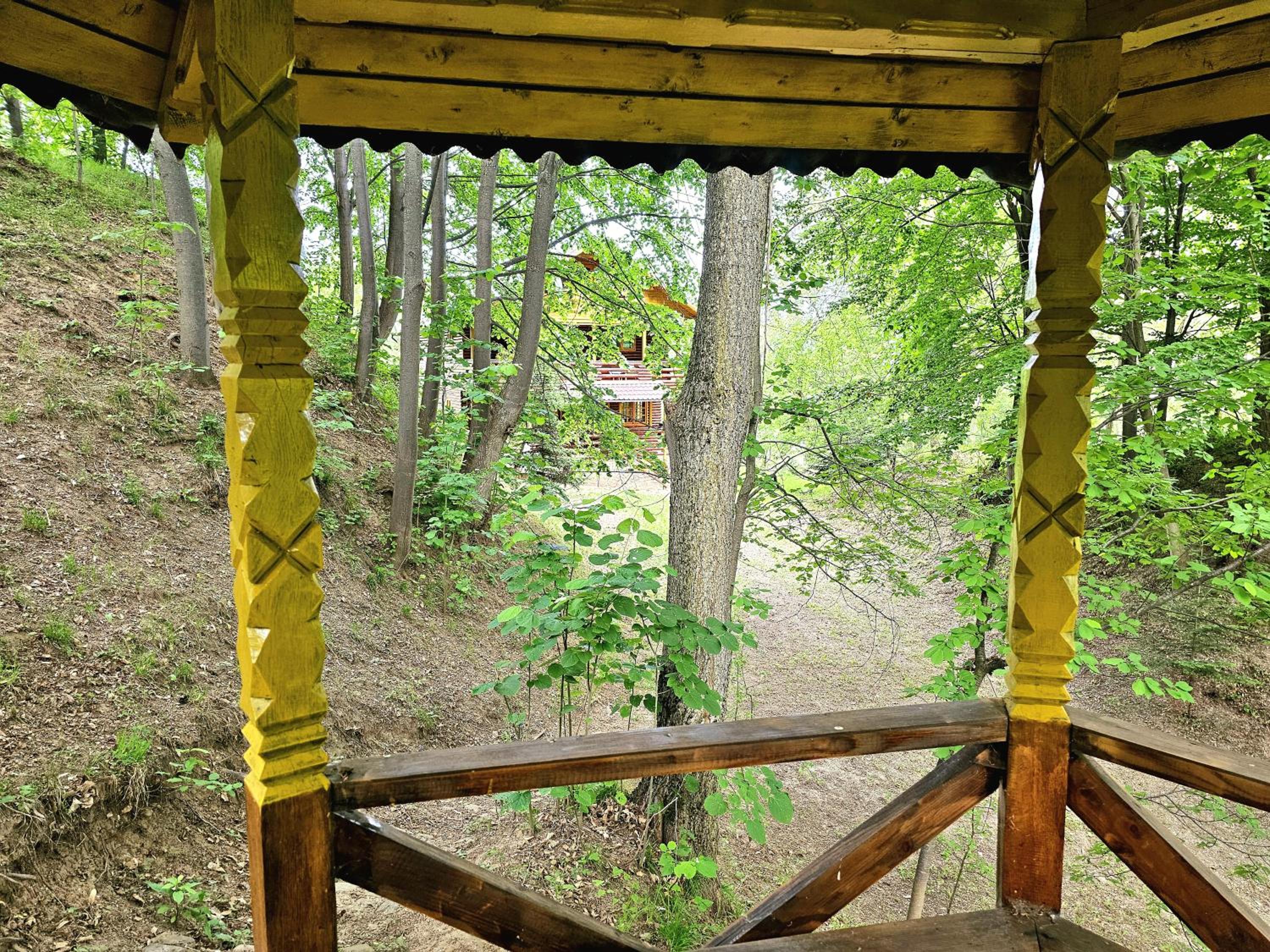 Photo 46