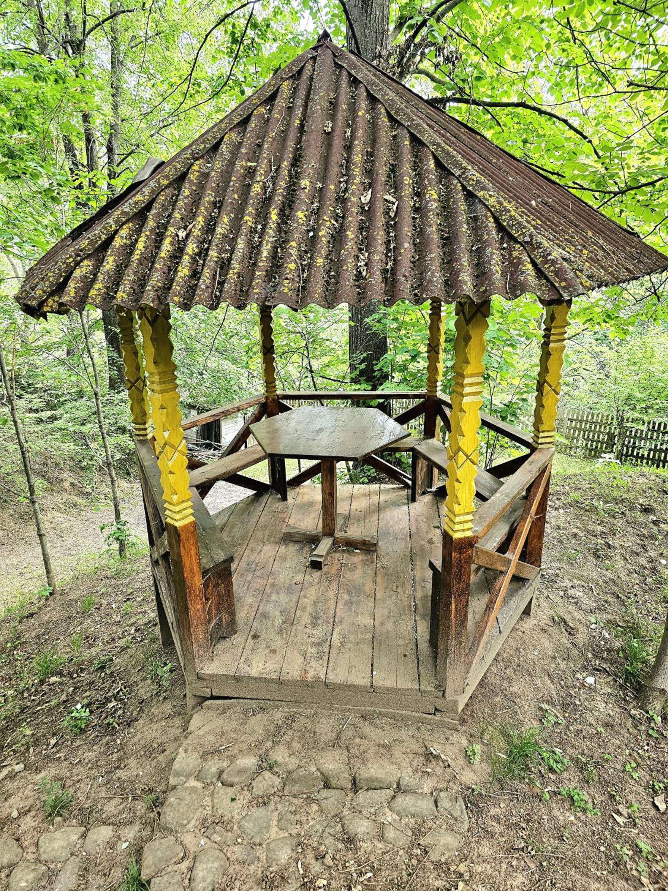 Photo 44