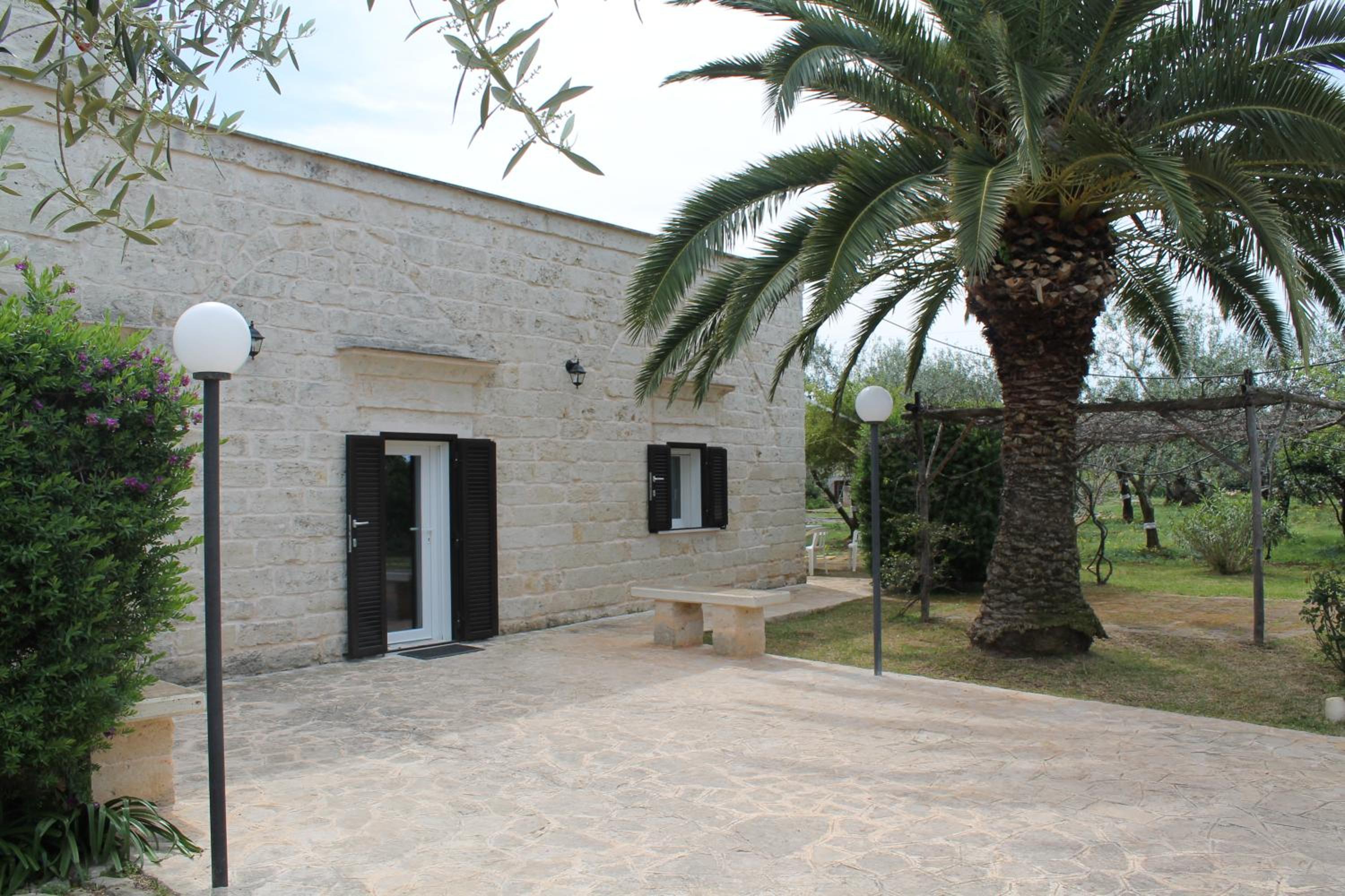 Photo 7