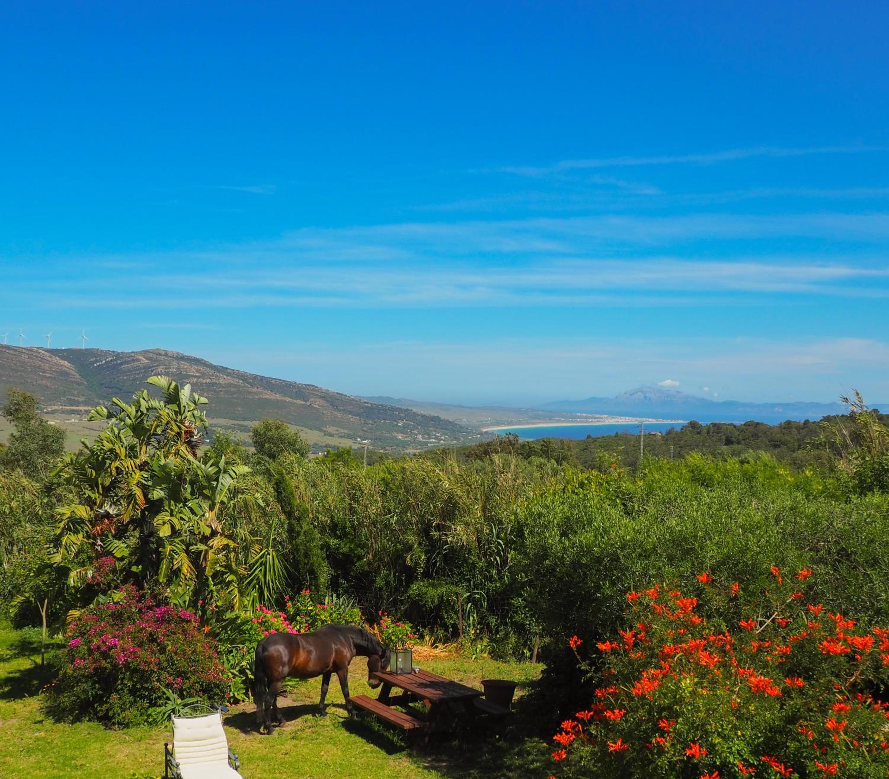 Villa Horses and Nature