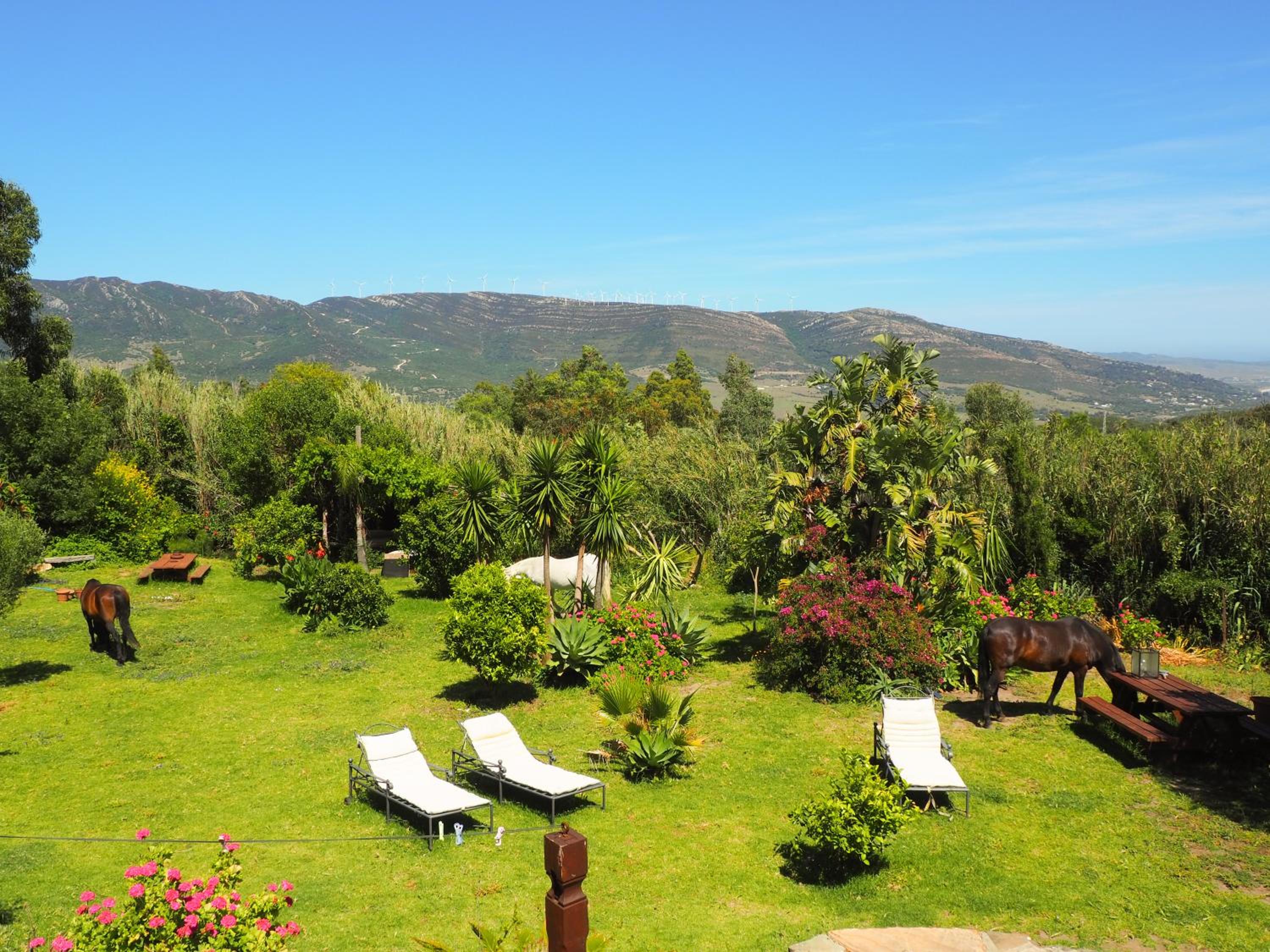 Villa Horses and Nature