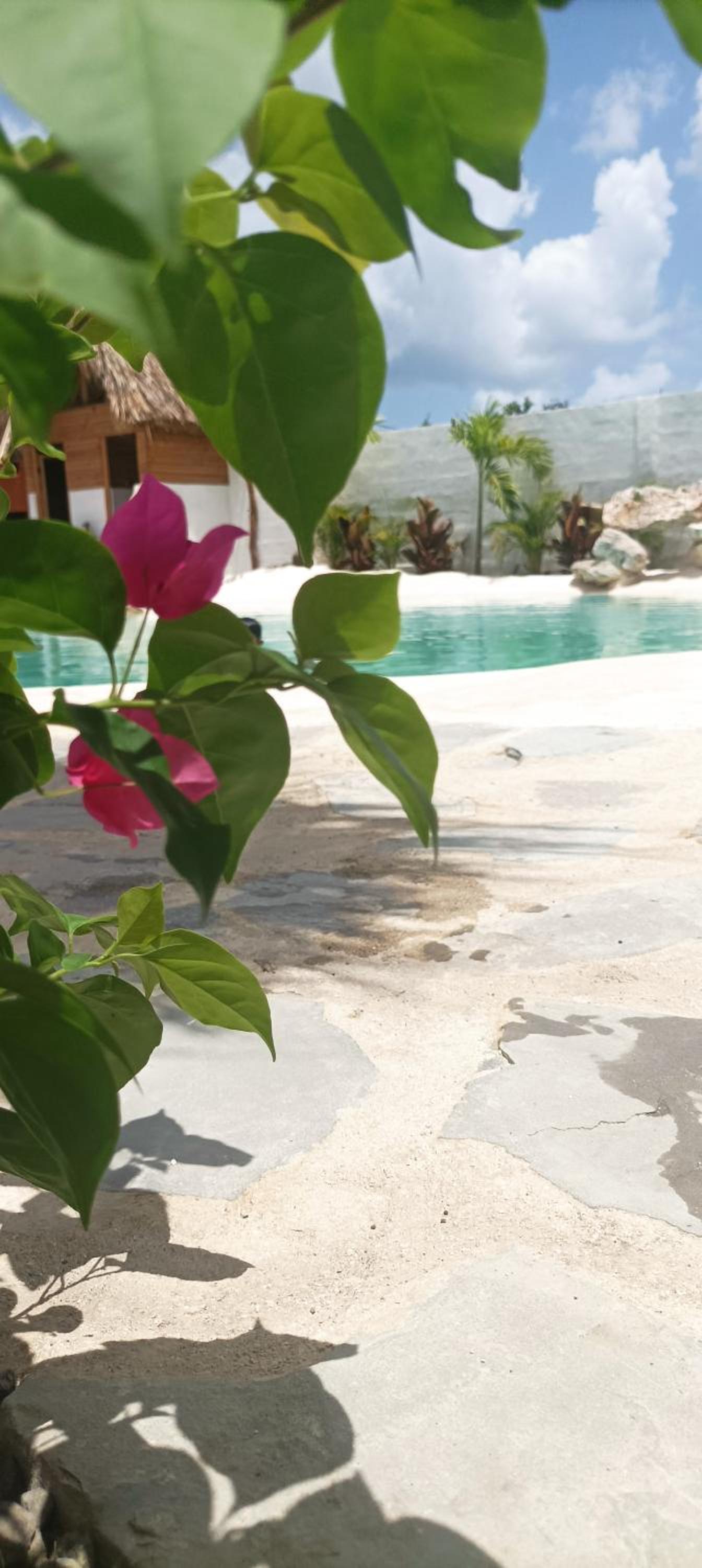 Blue Beach Eco-Hotel by Sanfabini