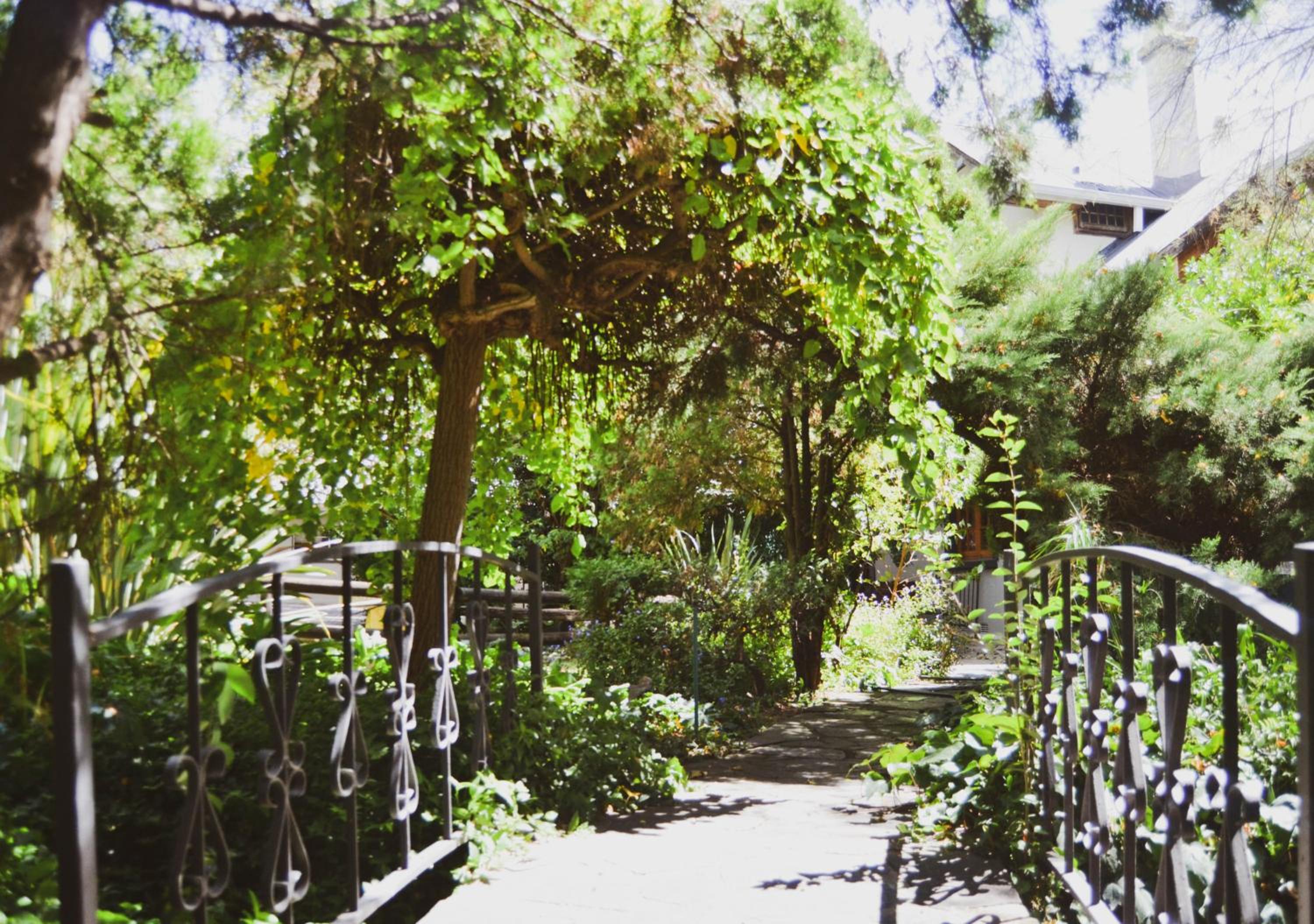Pandora's guesthouse