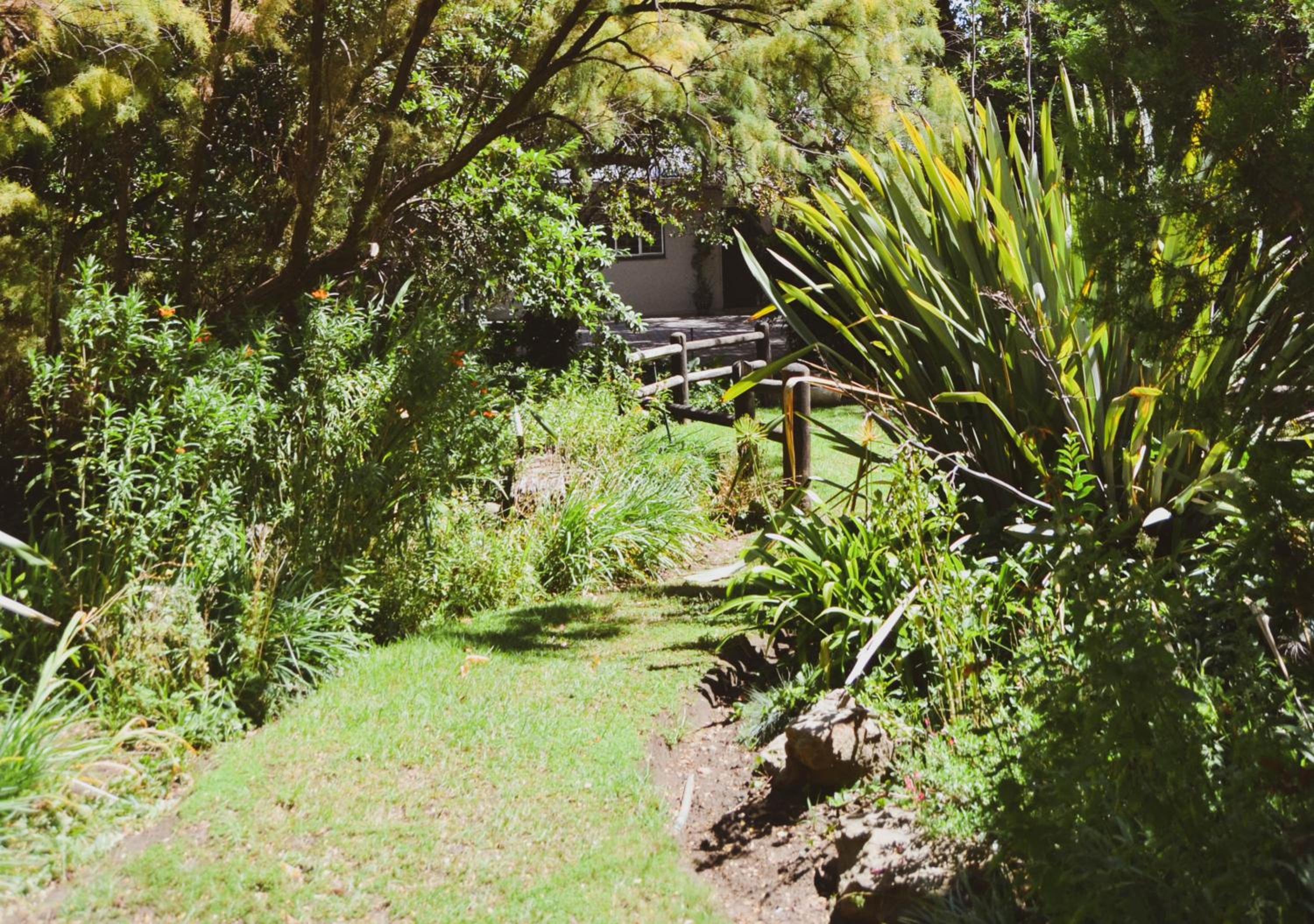 Pandora's guesthouse