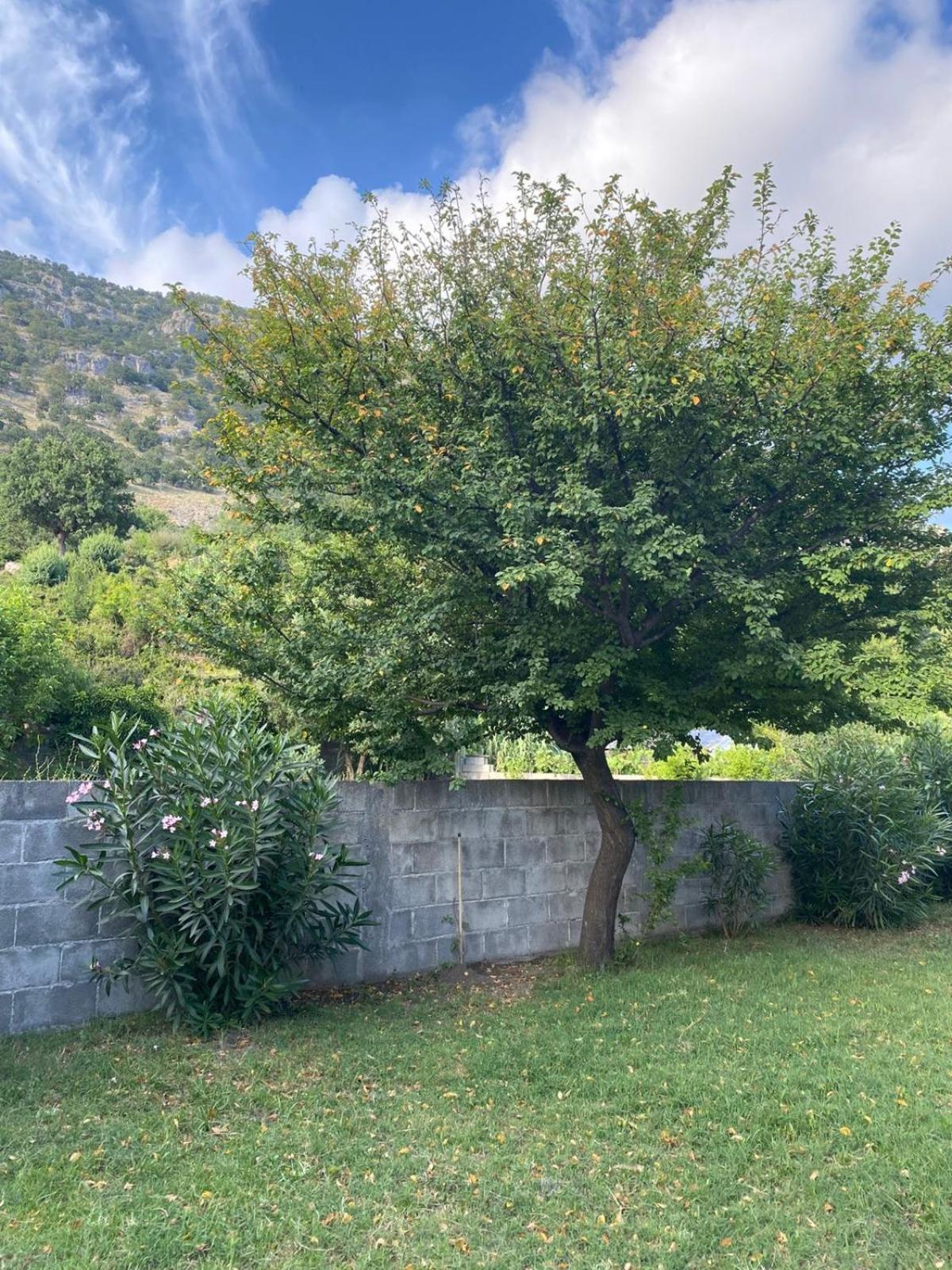 Villa Pams