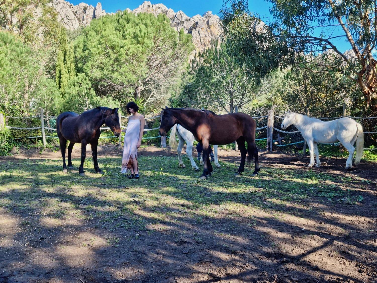 Villa Horses and Nature