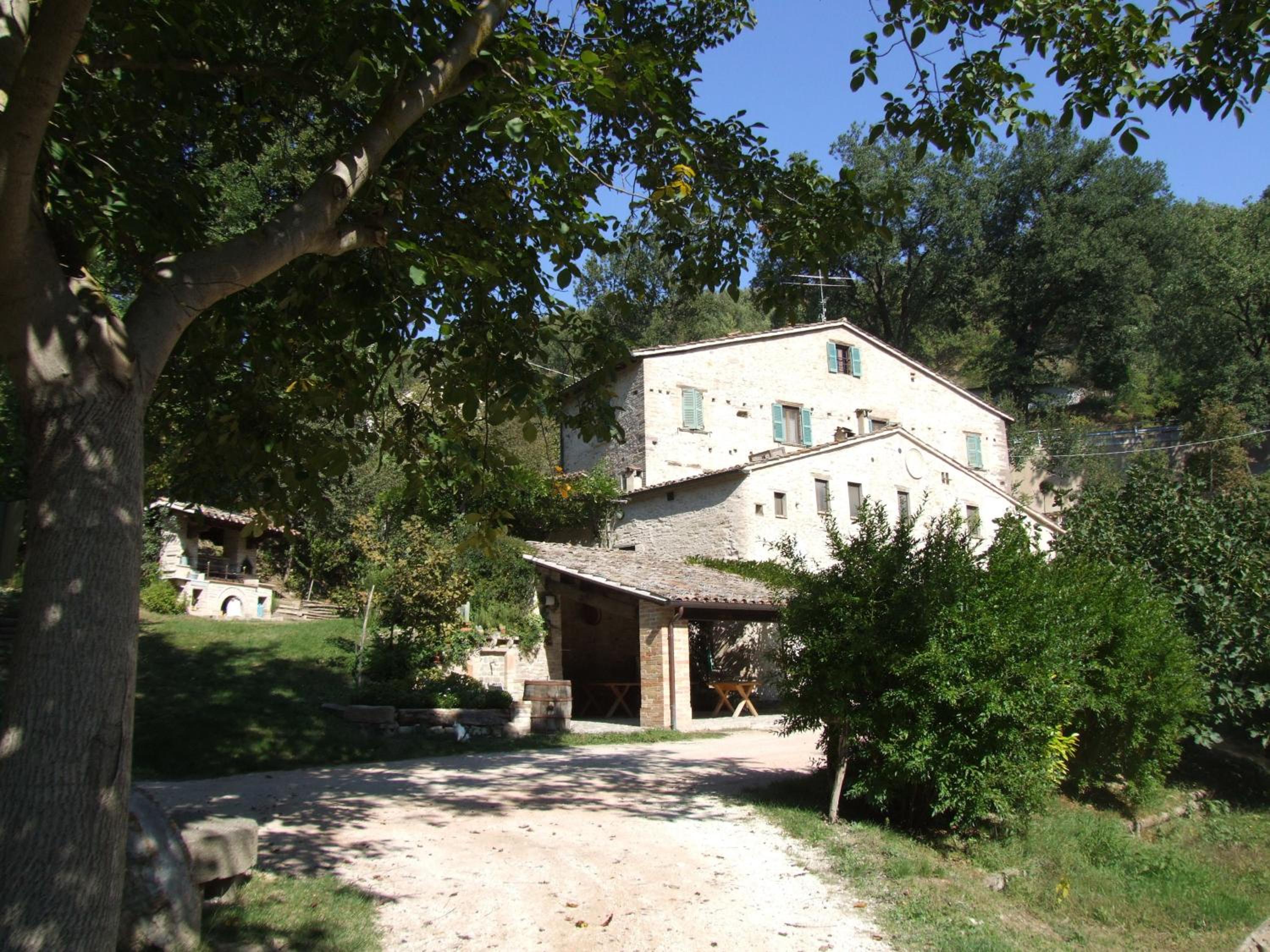 Photo 42