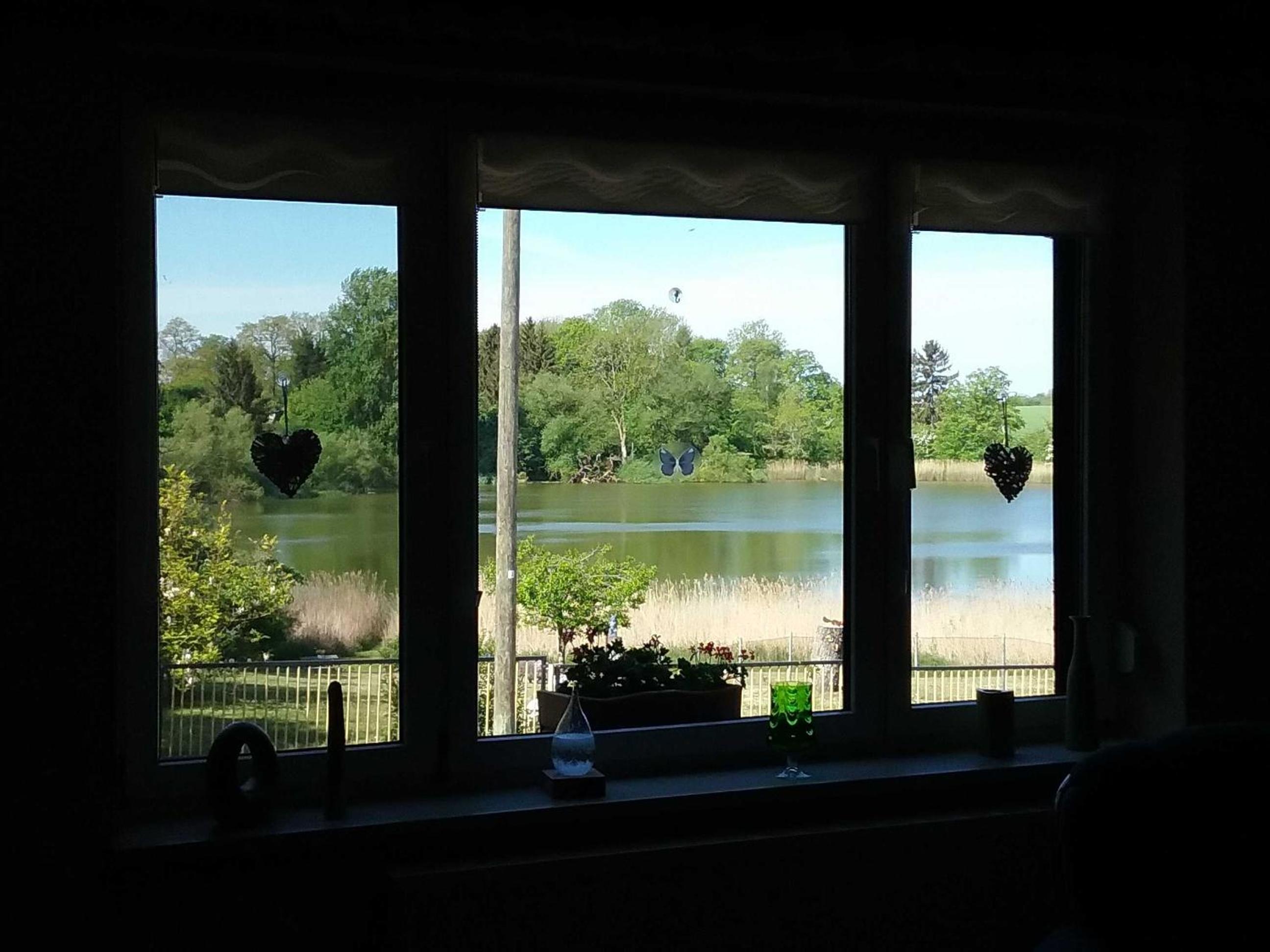 Ferienwohnung mit Seeblick