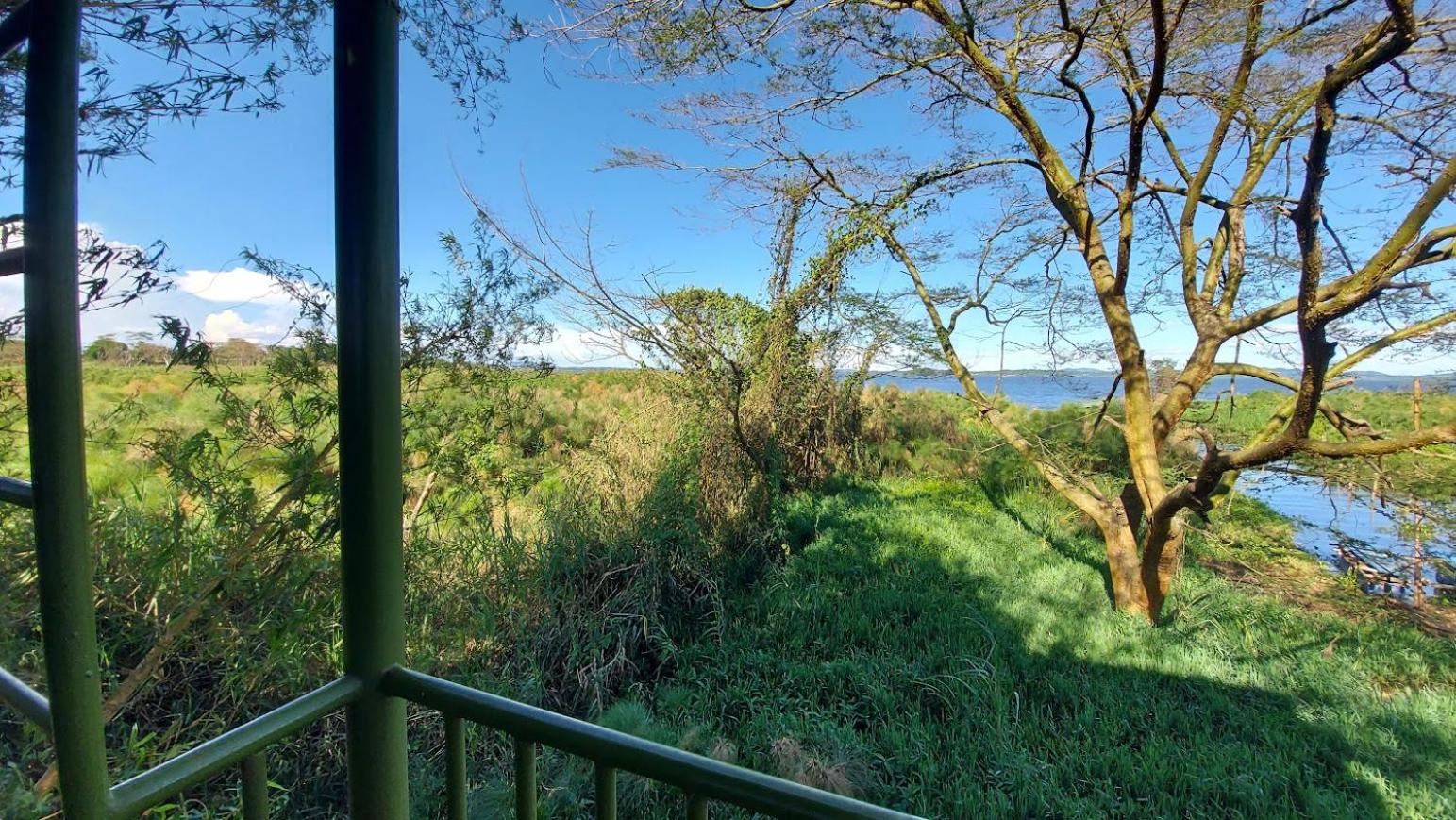 Yellow Haven Lodge