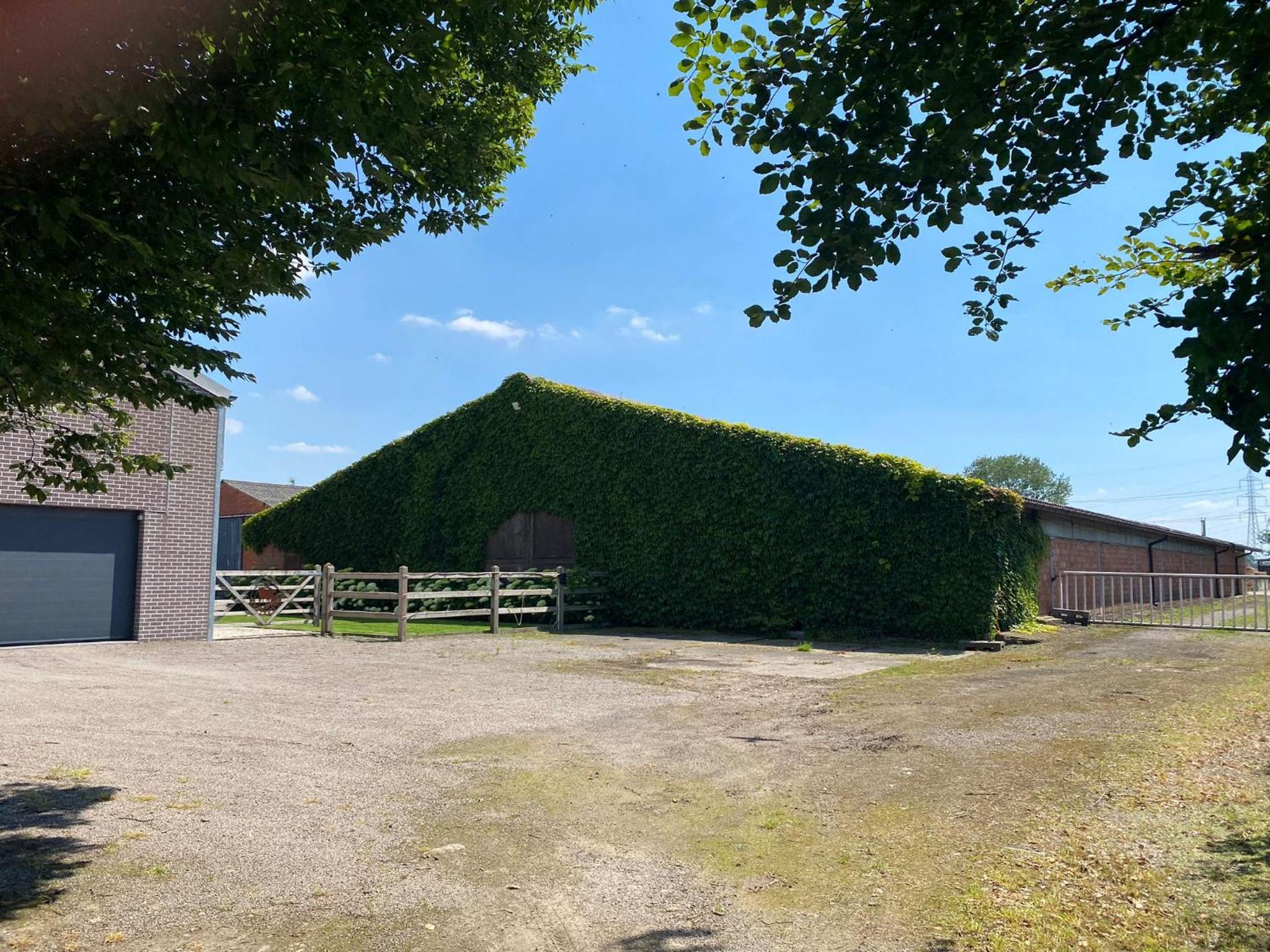B&B De Vlierbeek
