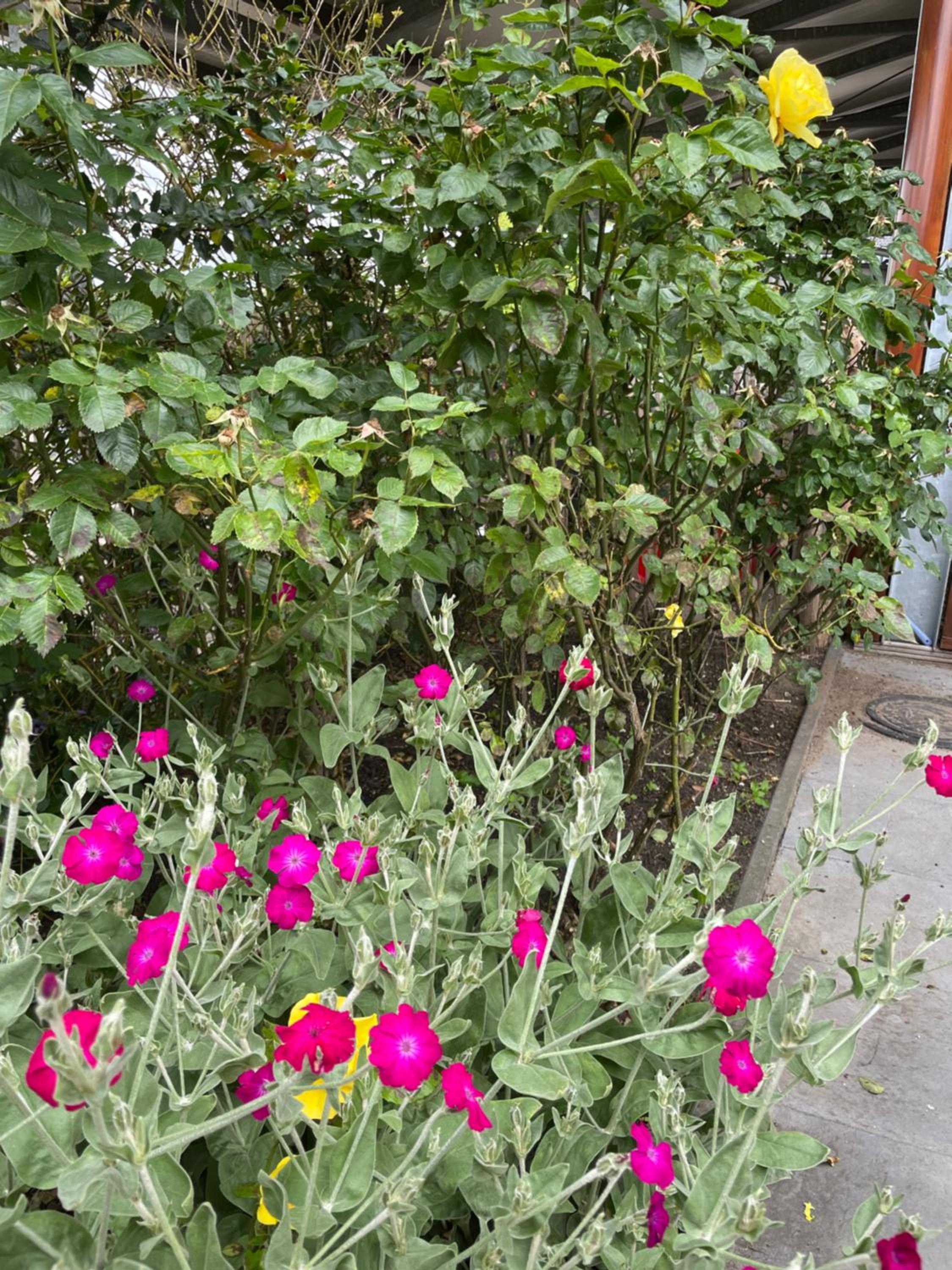 Photo 12
