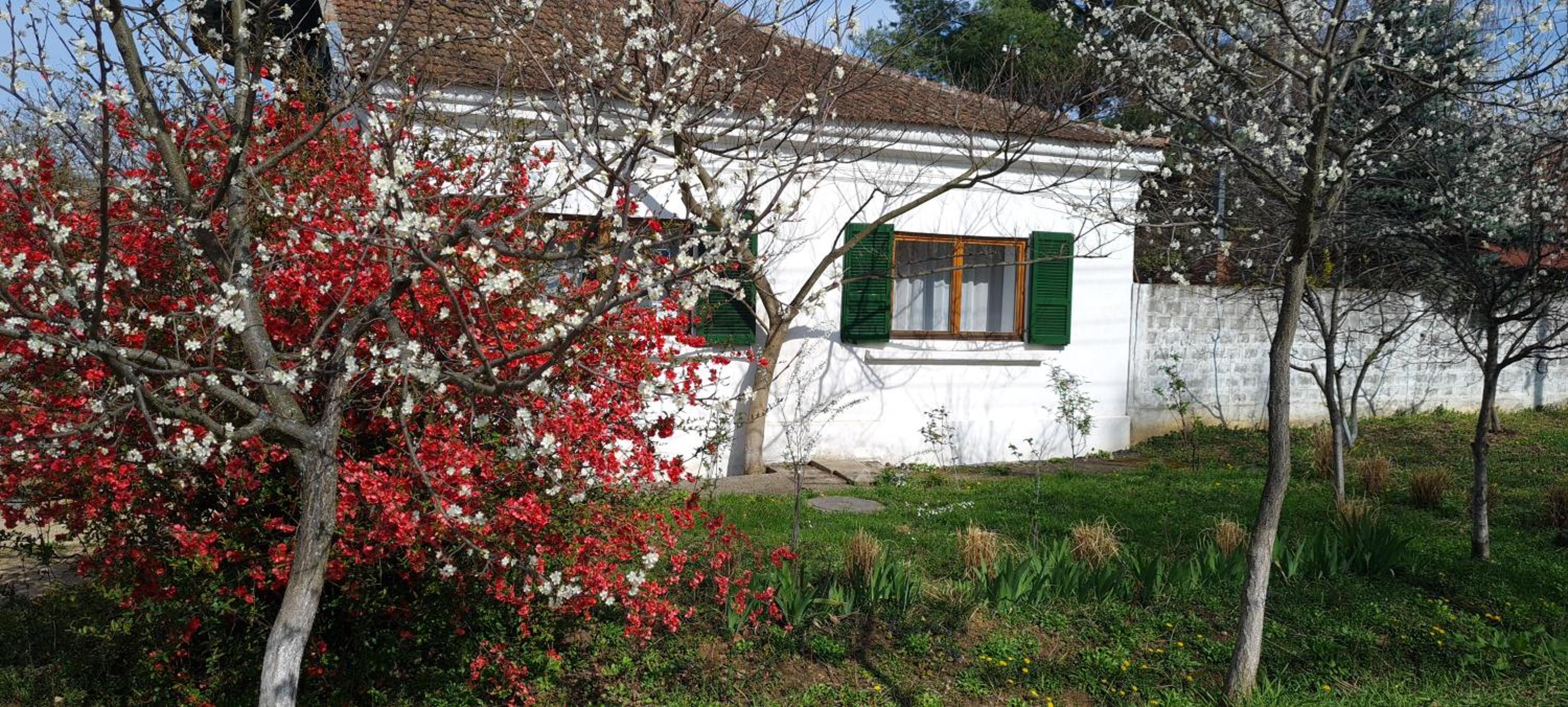 Casa Marza