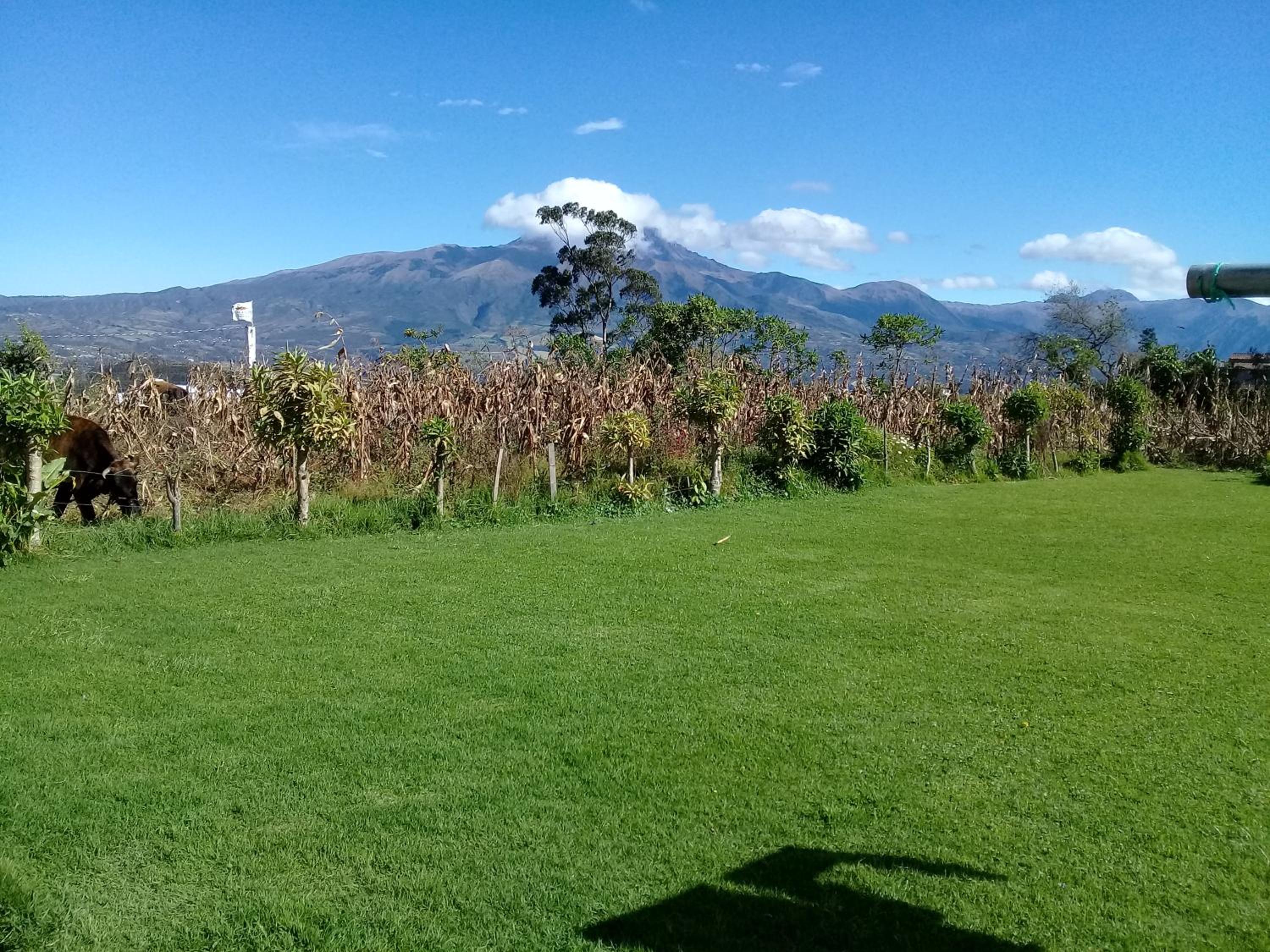Casa amplia y familiar