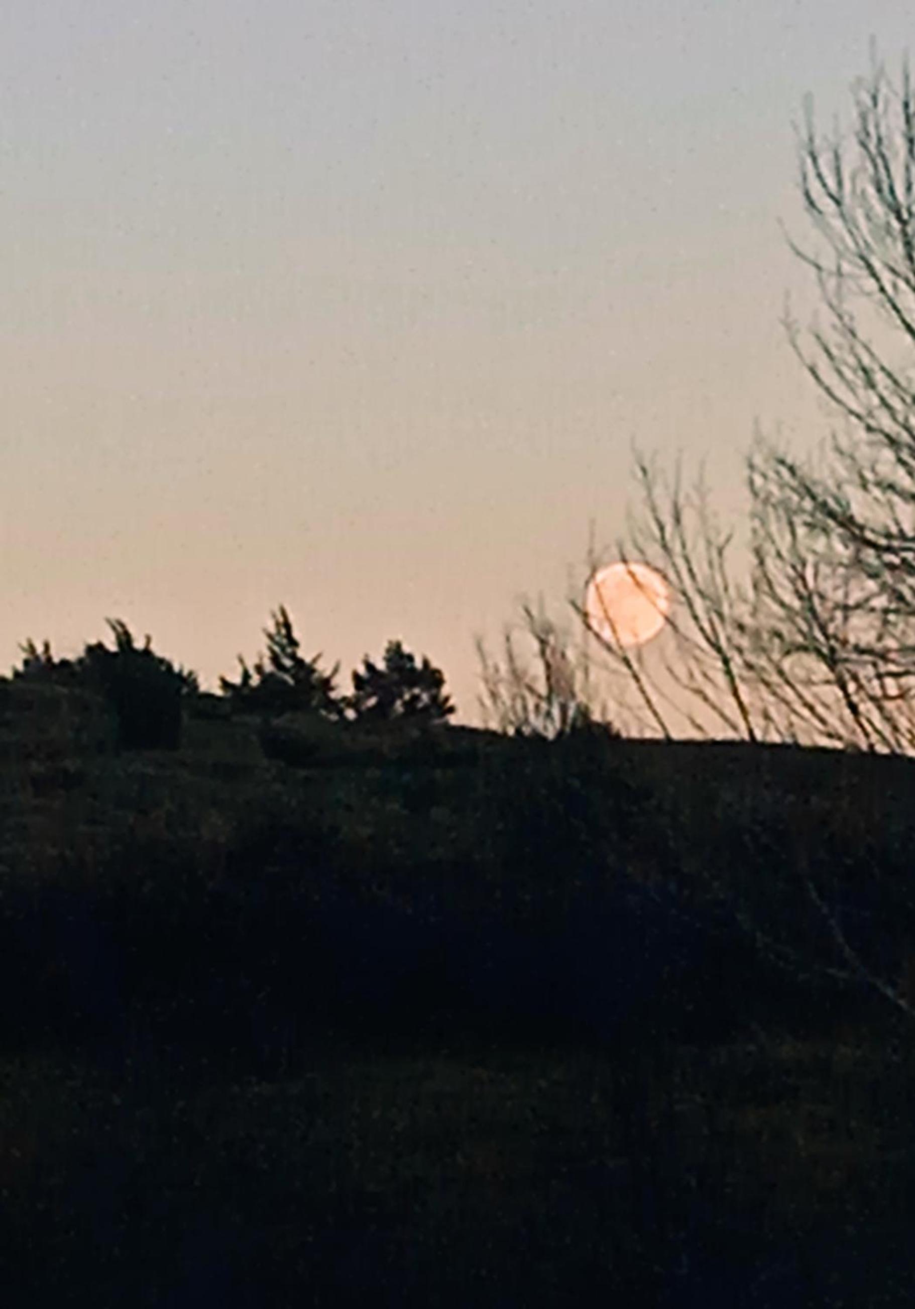 other
