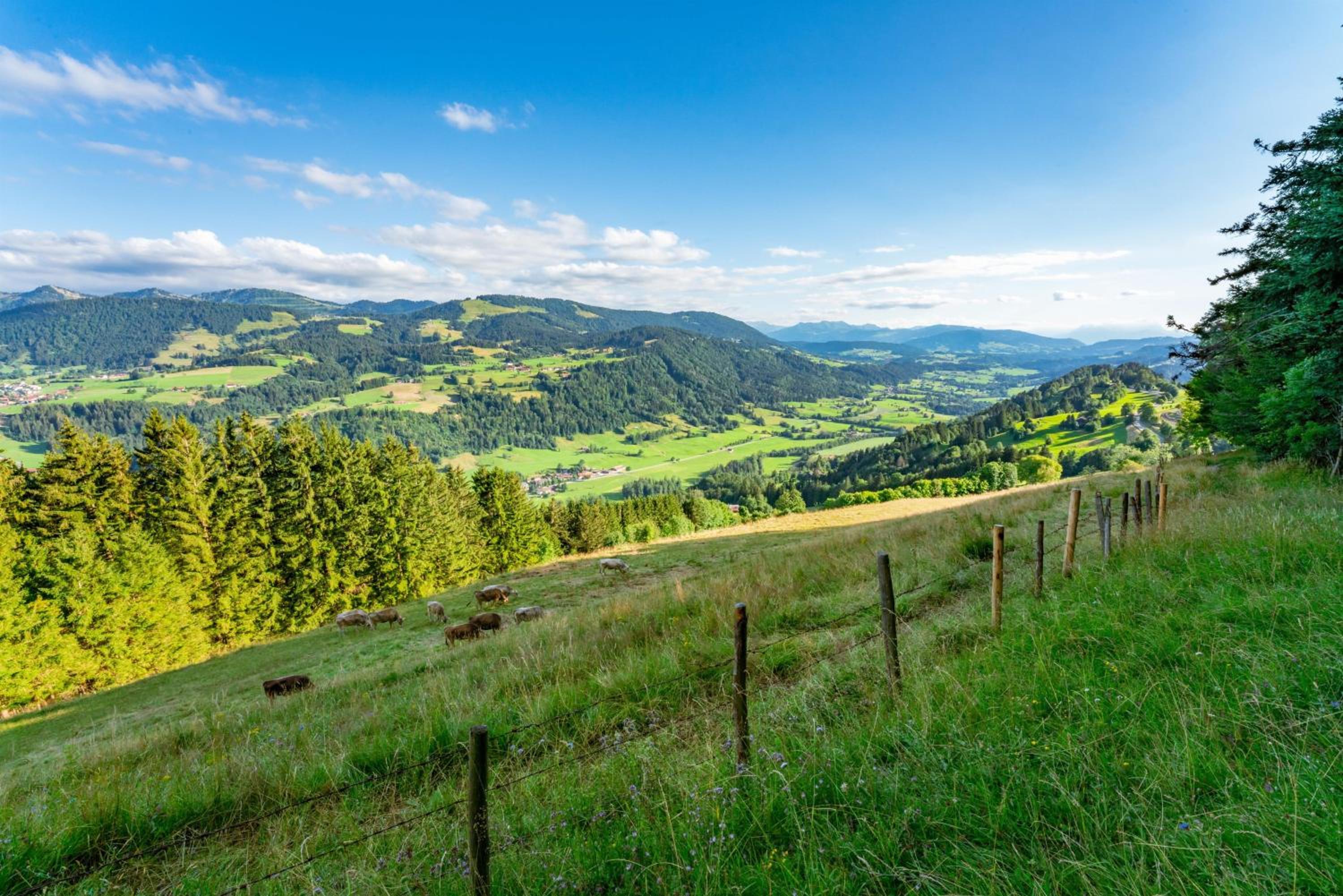 Ferienwohnung Heidi mit Oberstaufen PLUS