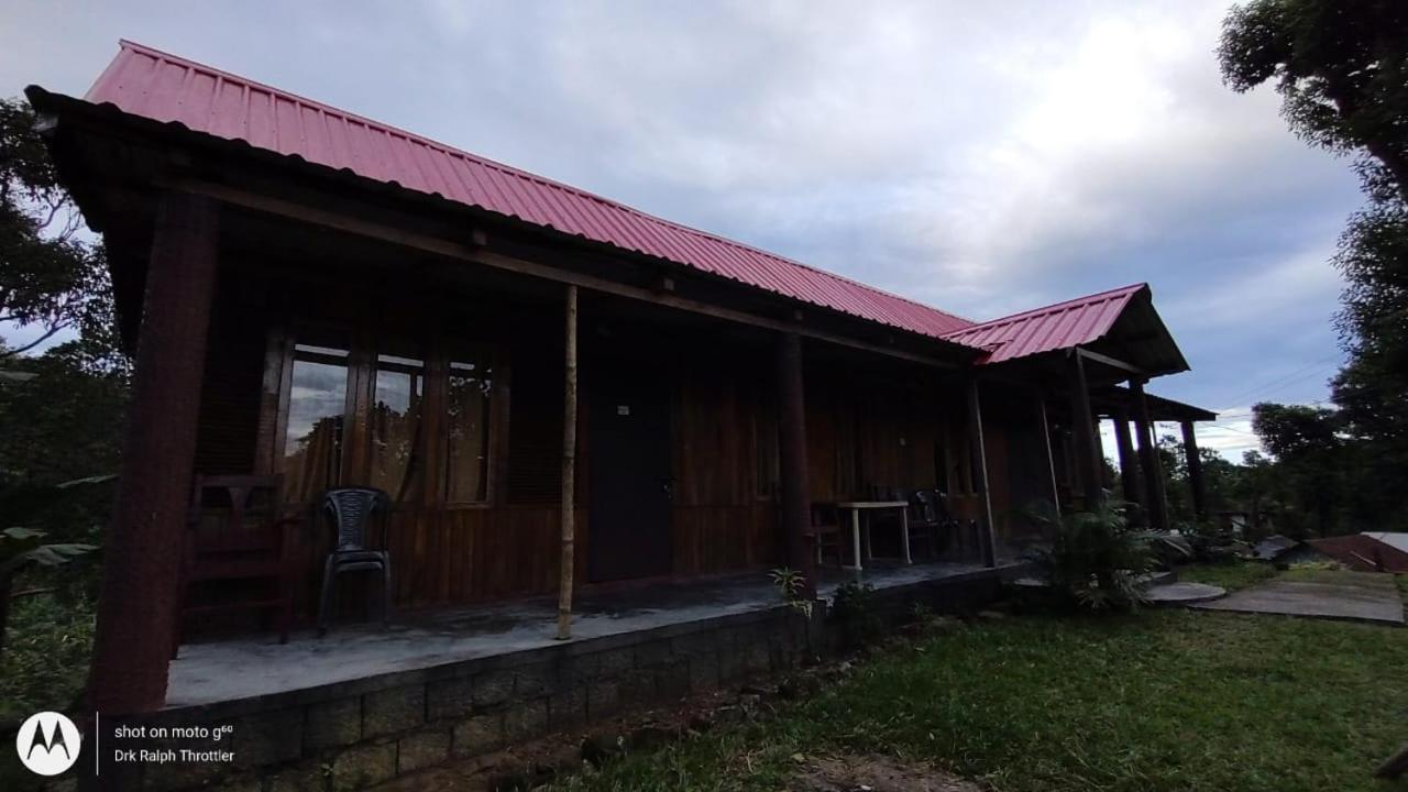 Dj wood cabin