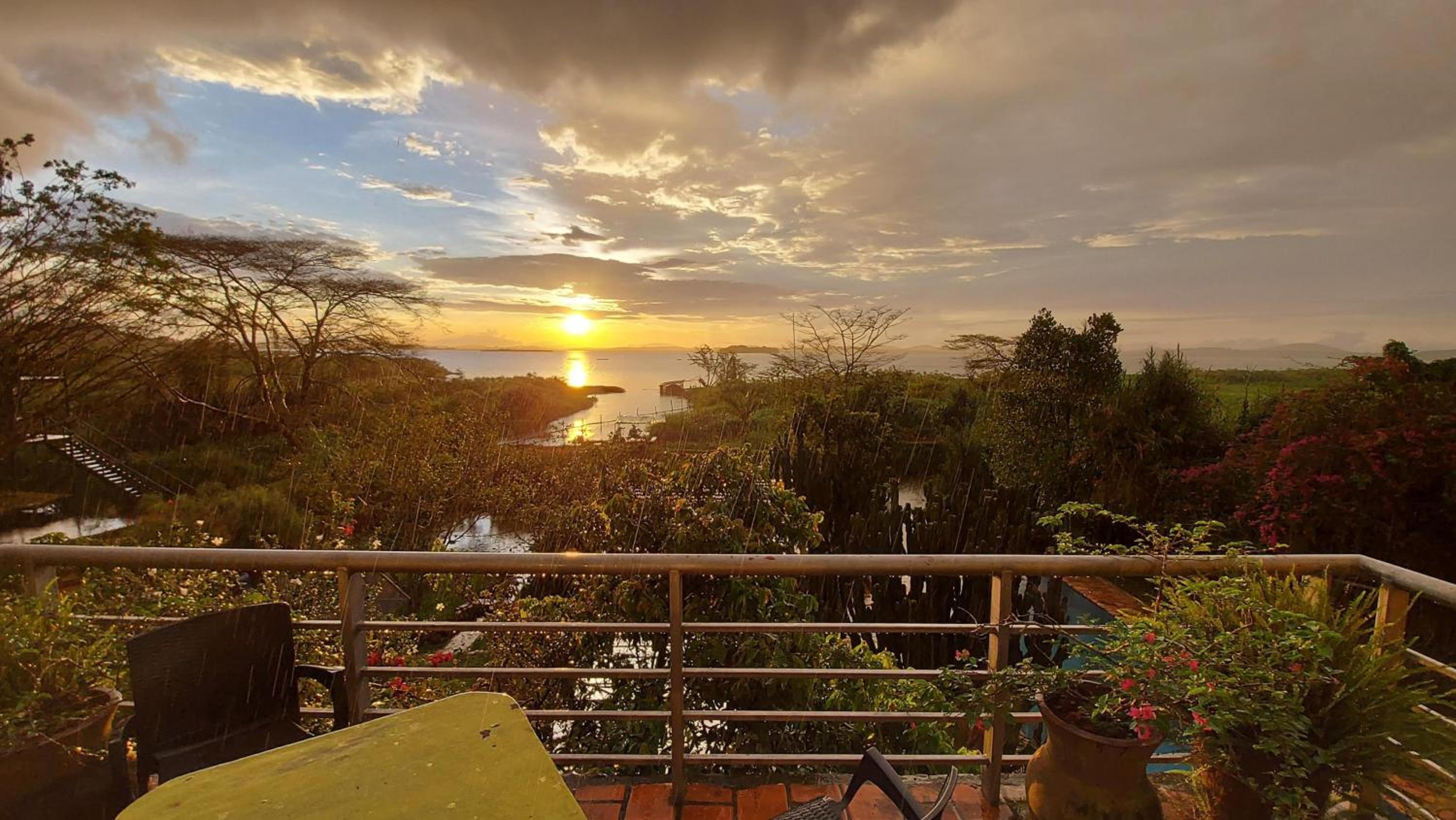 Yellow Haven Lodge