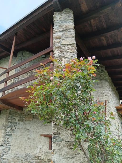 Casa delle Rose - Marmora view 4