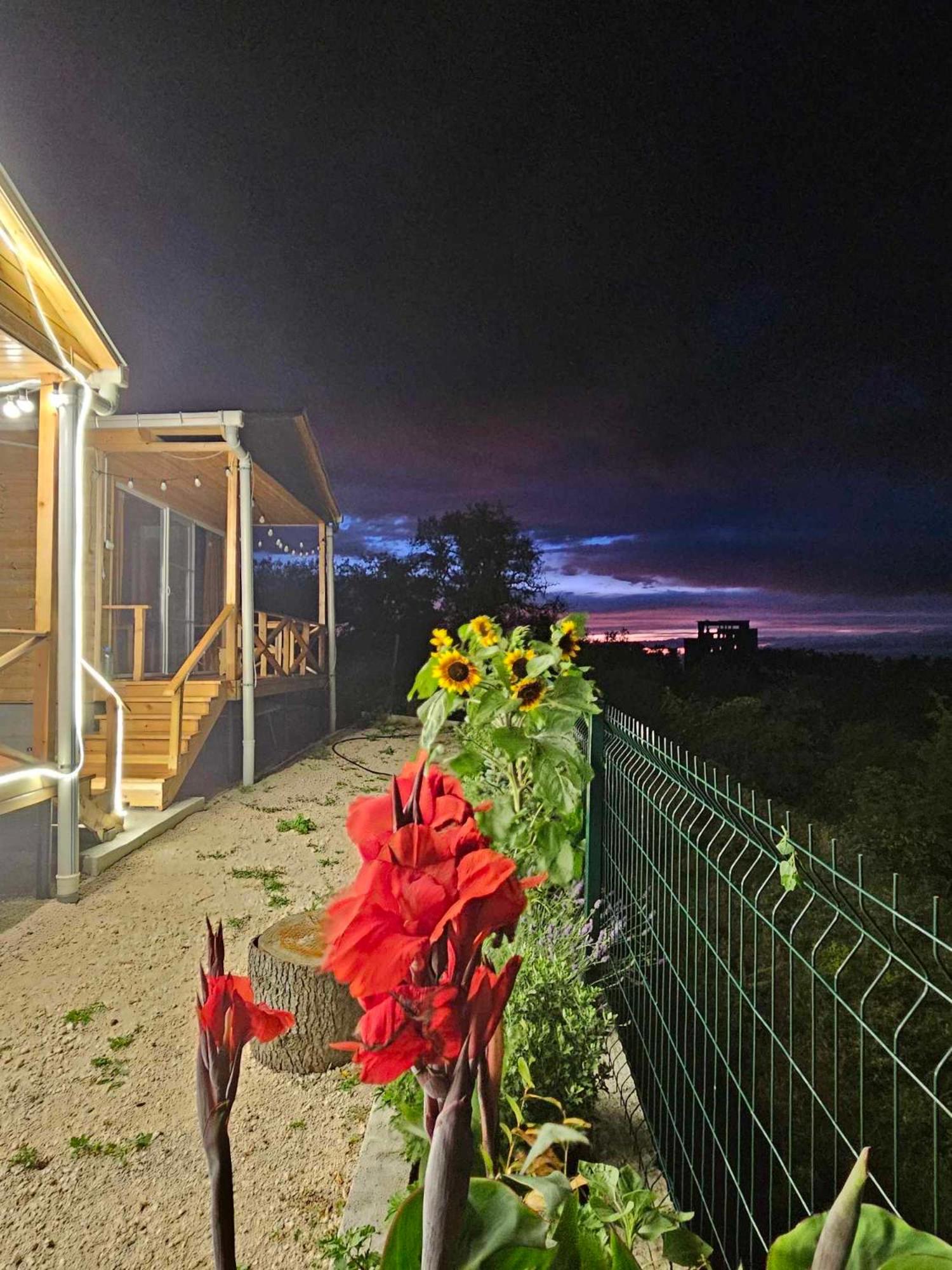 Arkhilo's cottage view 5