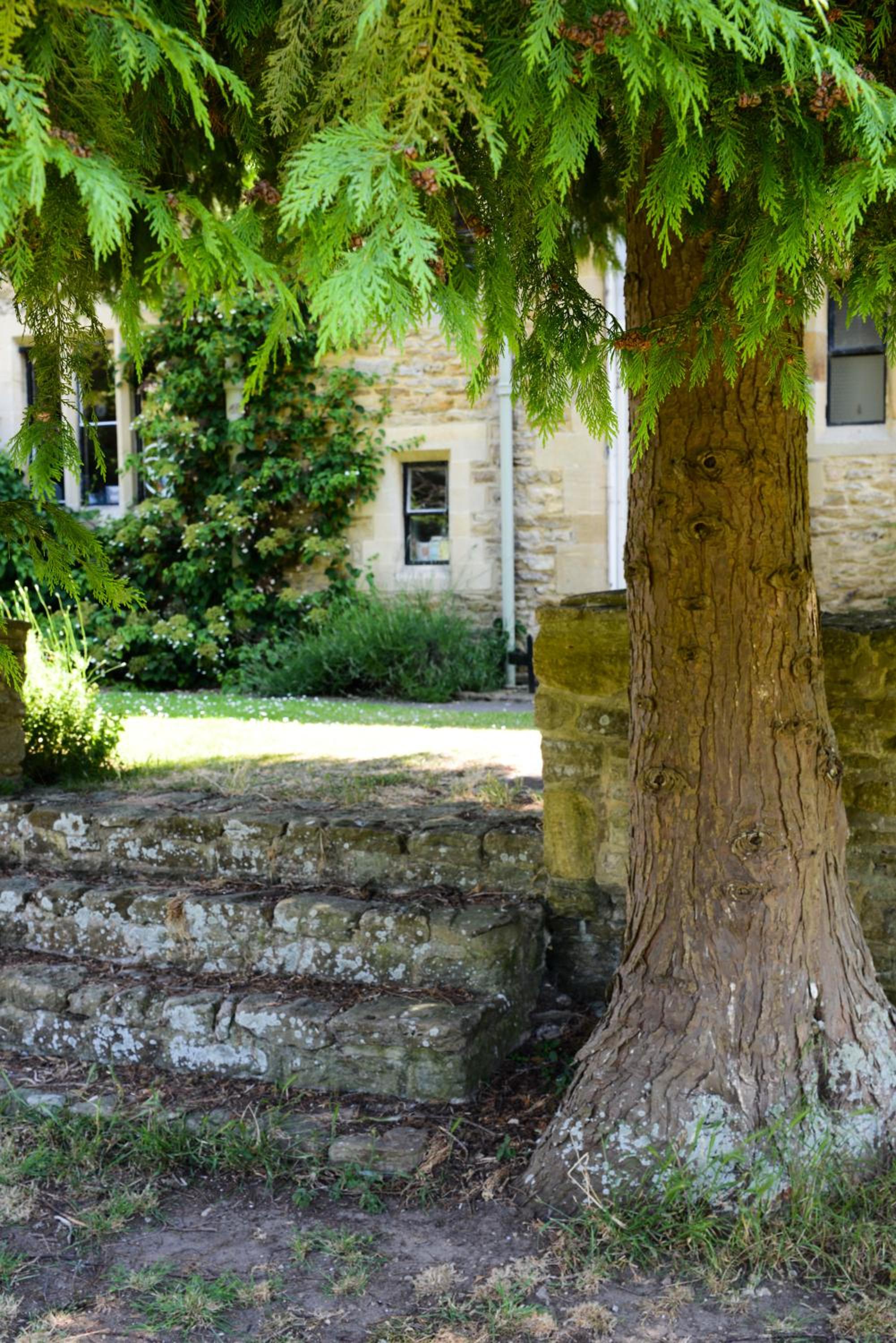 Charney Manor