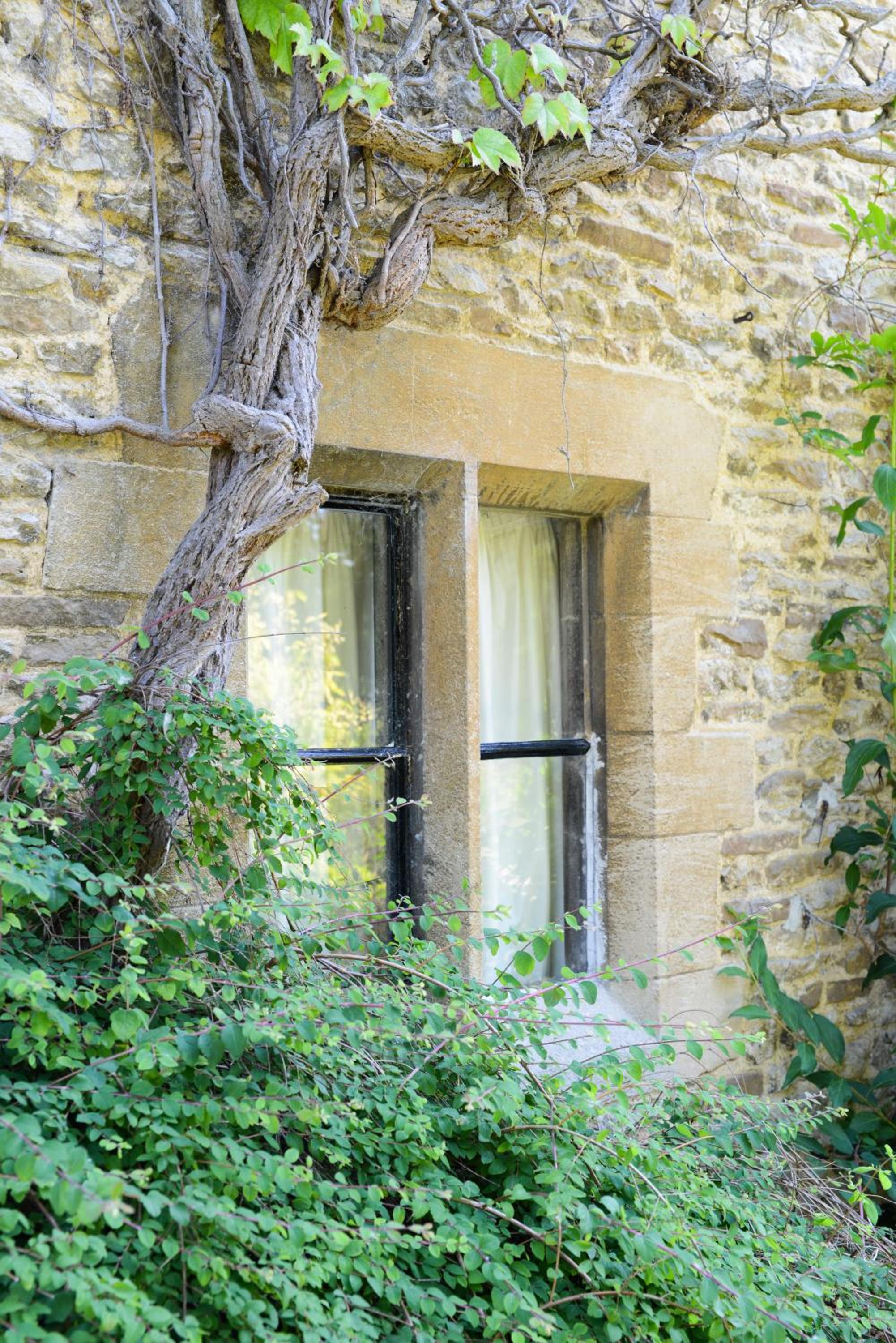 Charney Manor